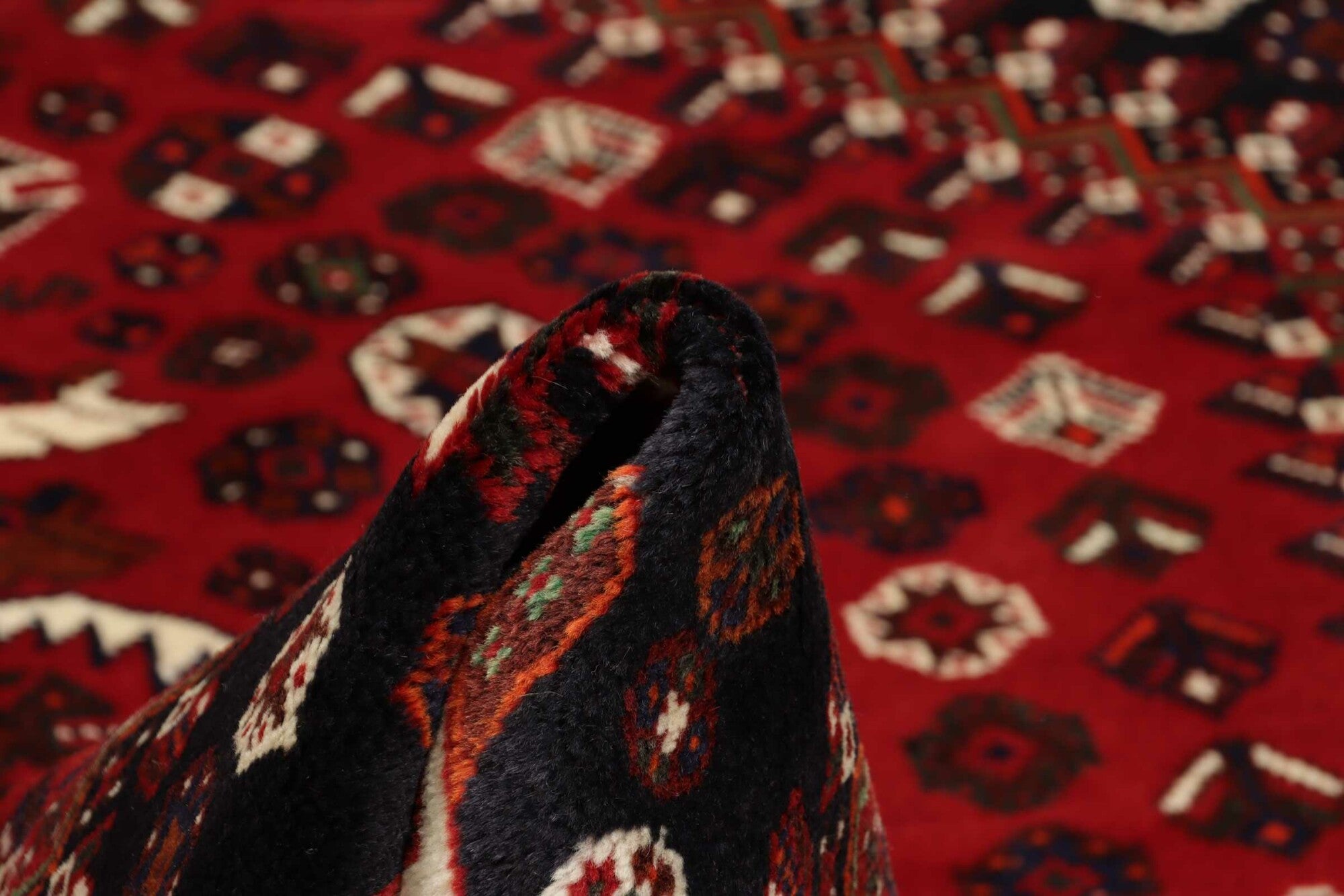 Shiraz | 252 x 162 cm | Nr. 12-459151