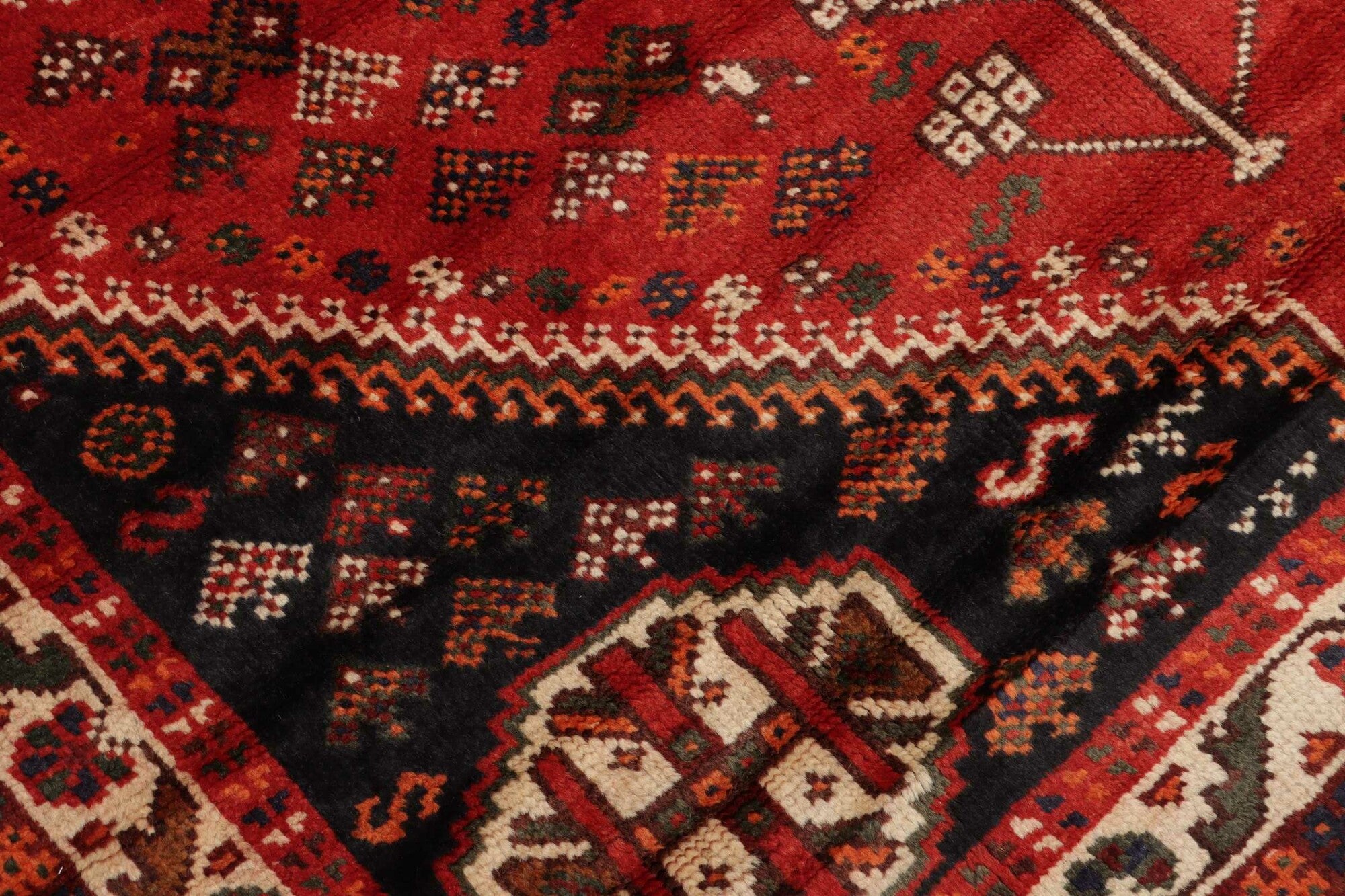 Shiraz | 245 x 152 cm | Nr. 12-459153