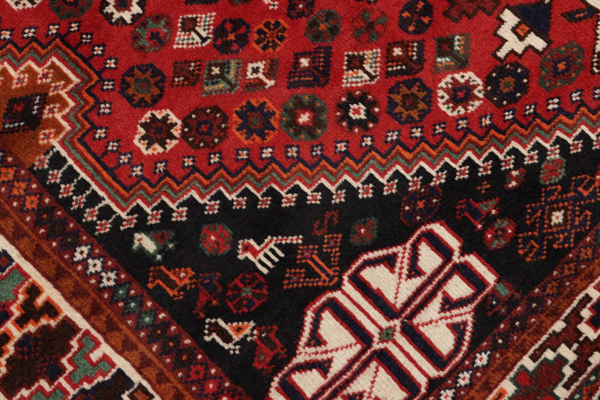 Chiraz | 255 x 168 cm | Nr. 12-459161