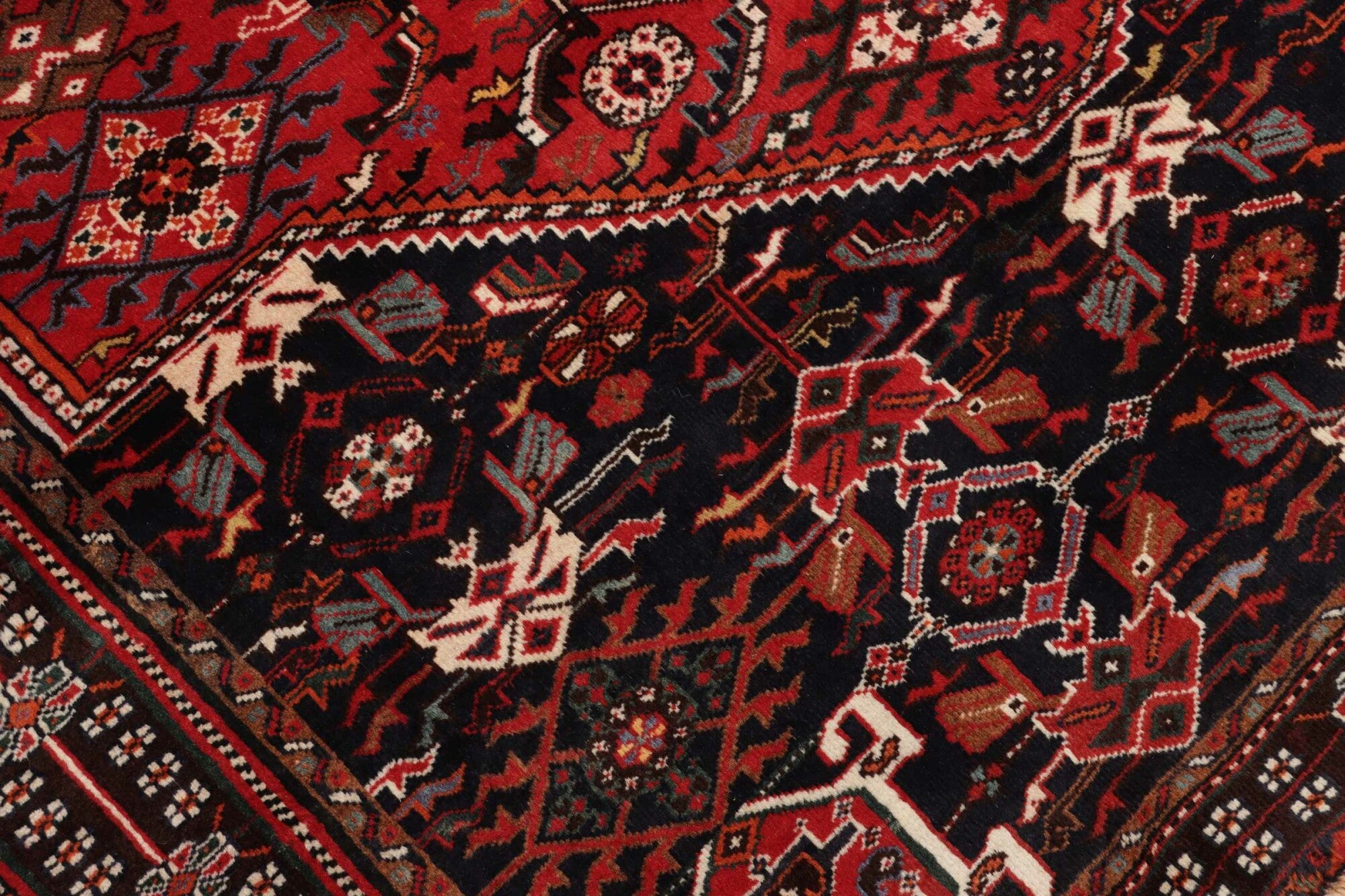 Shiraz | 258 cm x 163 cm | Nr. 12-459166