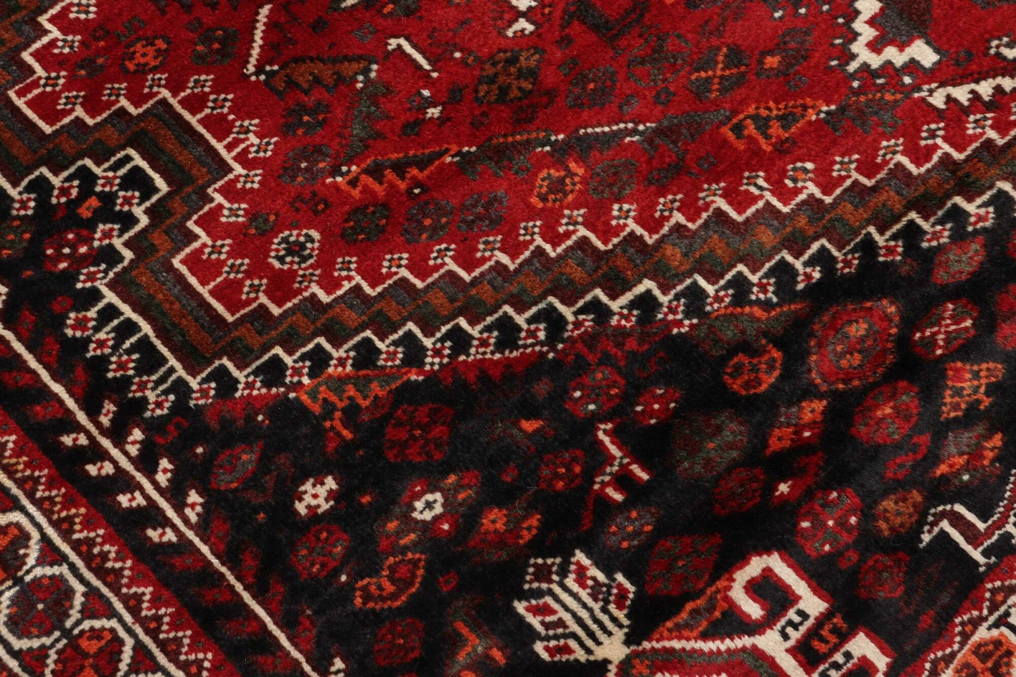 Shiraz | 268 x 163 cm | Nr. 12-459179