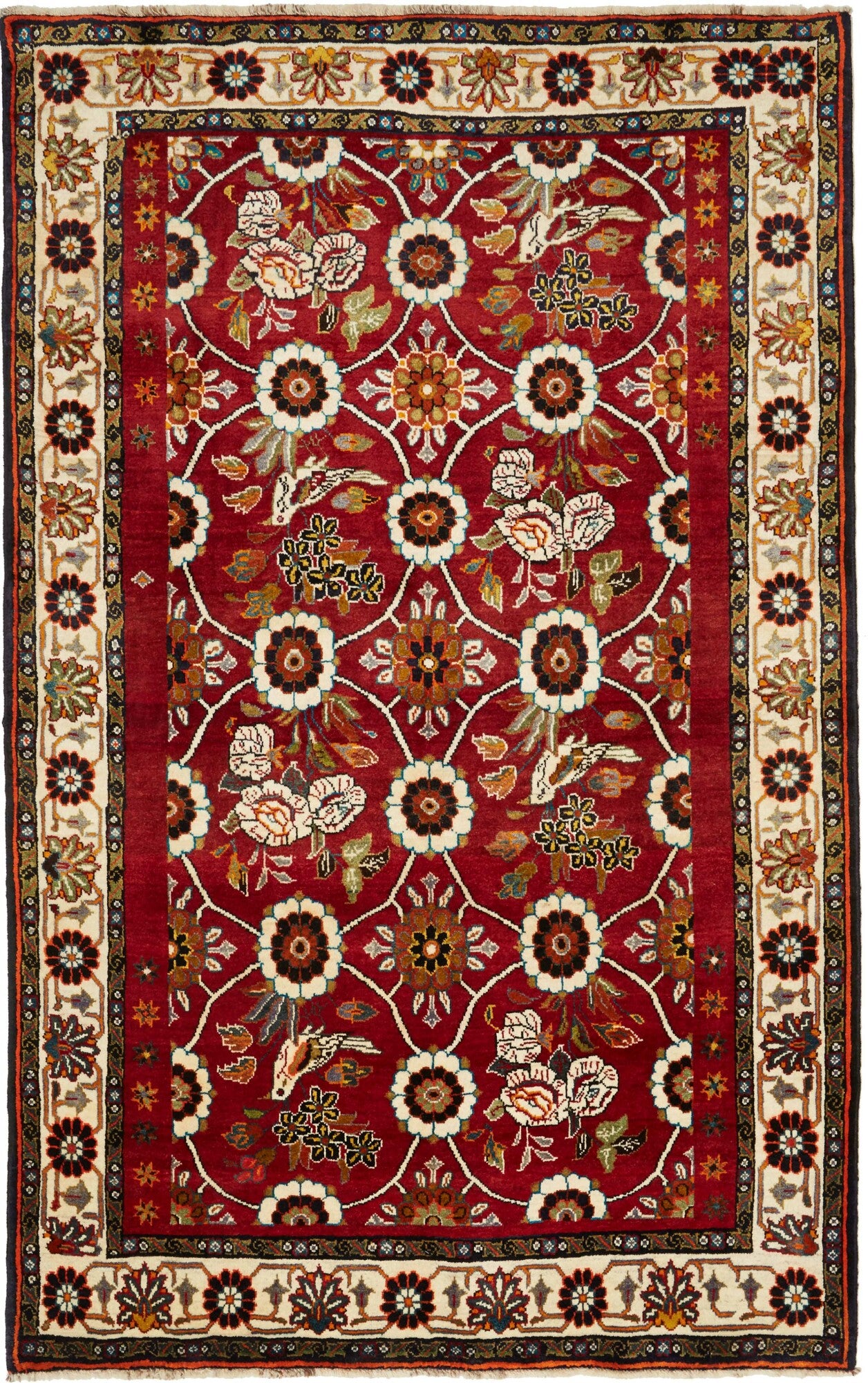 Shiraz | 245 cm x 155 cm | Nr. 12-459188