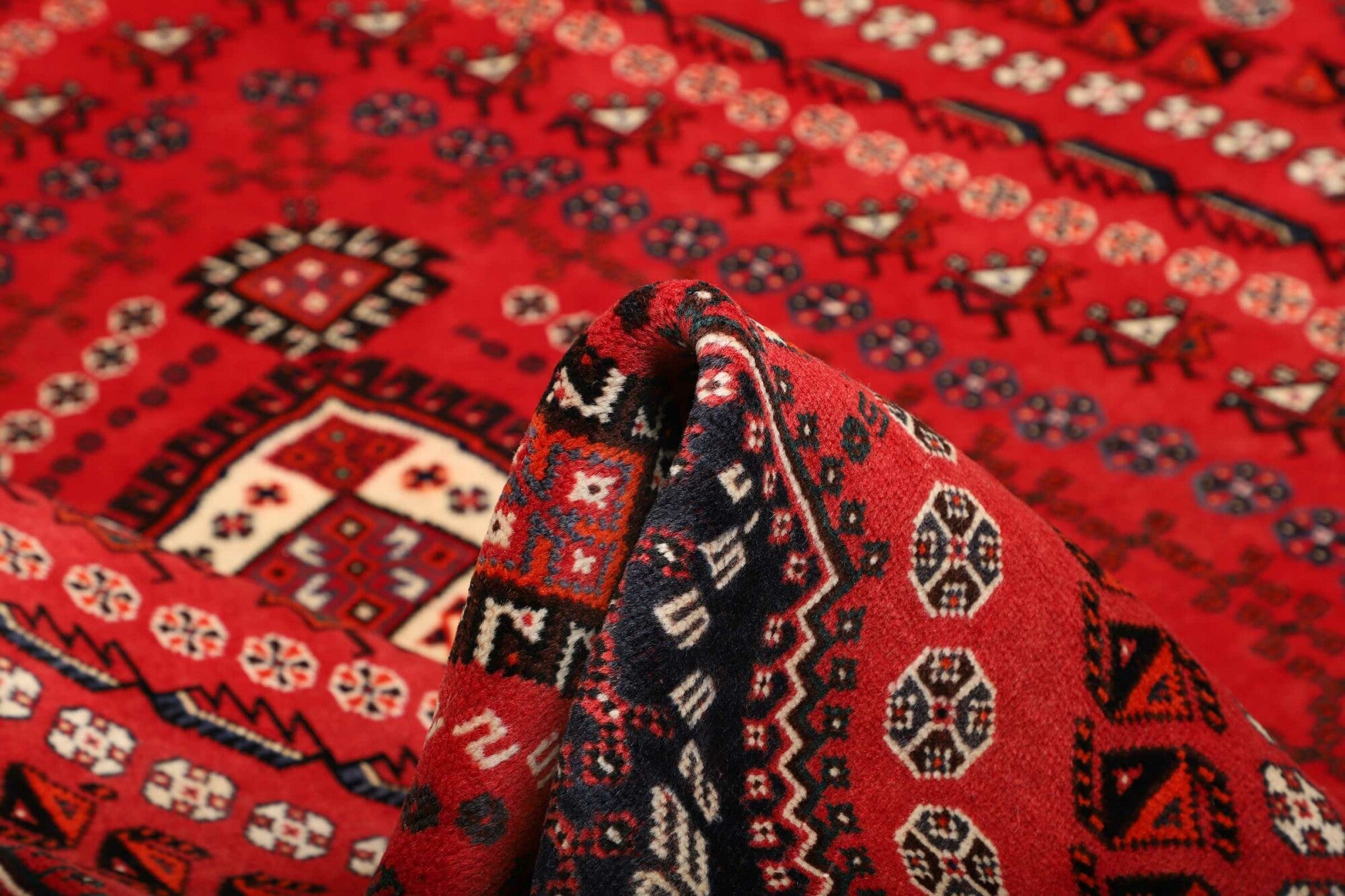 Shiraz | 280 x 177 cm | Nr. 12-459841