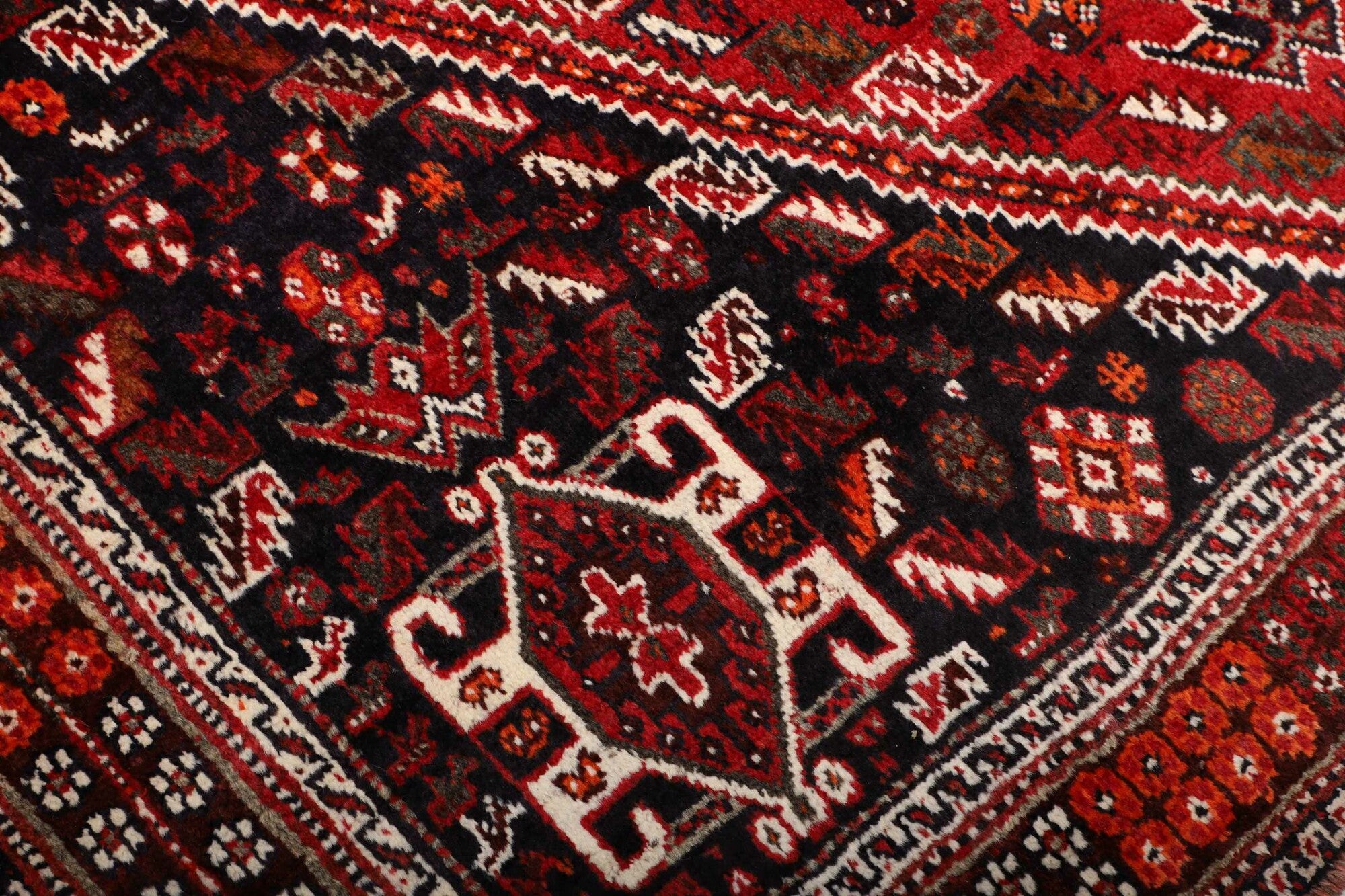Shiraz | 280 x 178 cm | Nr. 12-459842