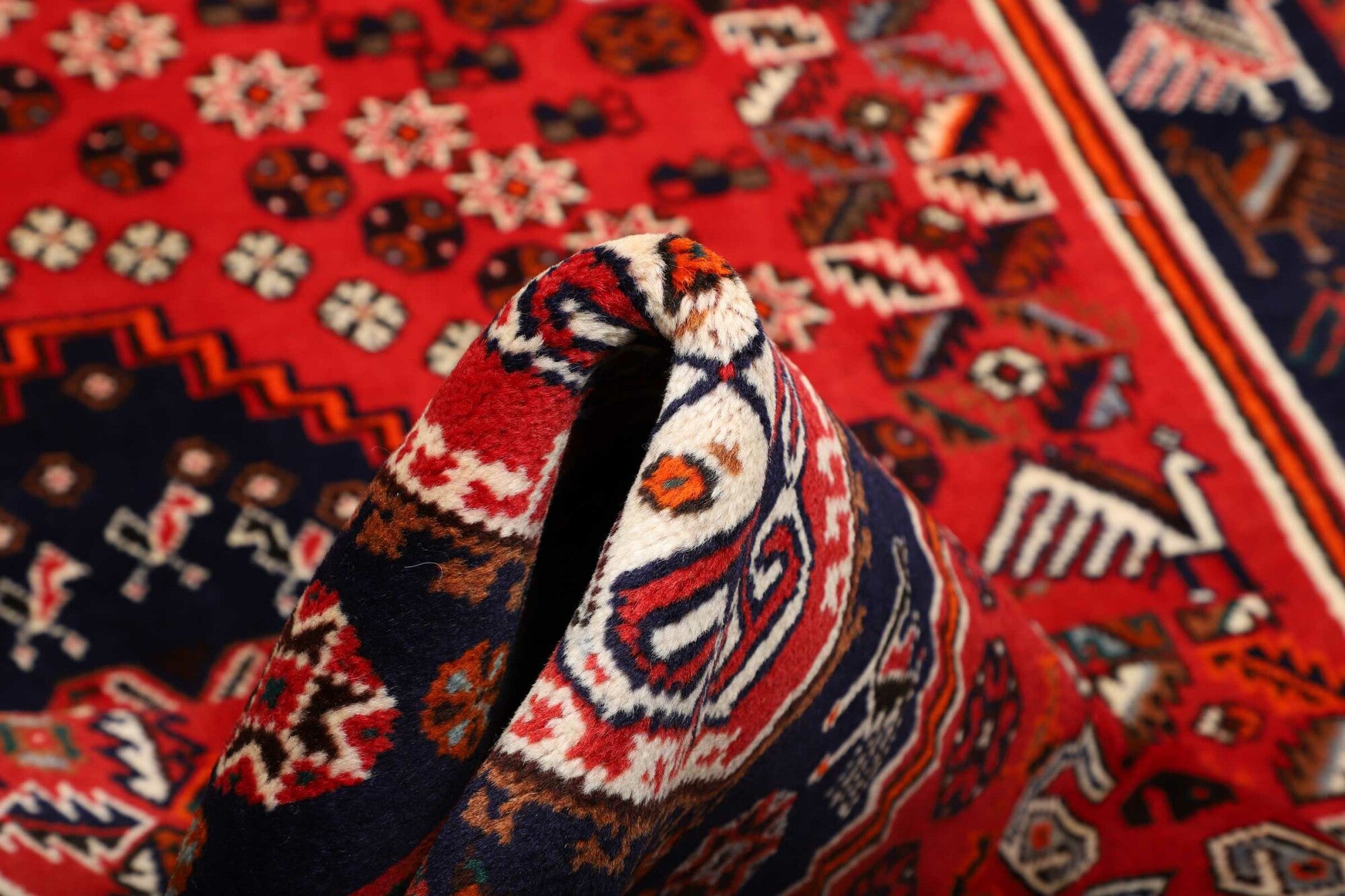 Shiraz | 277 cm x 165 cm | Nr. 12-459852