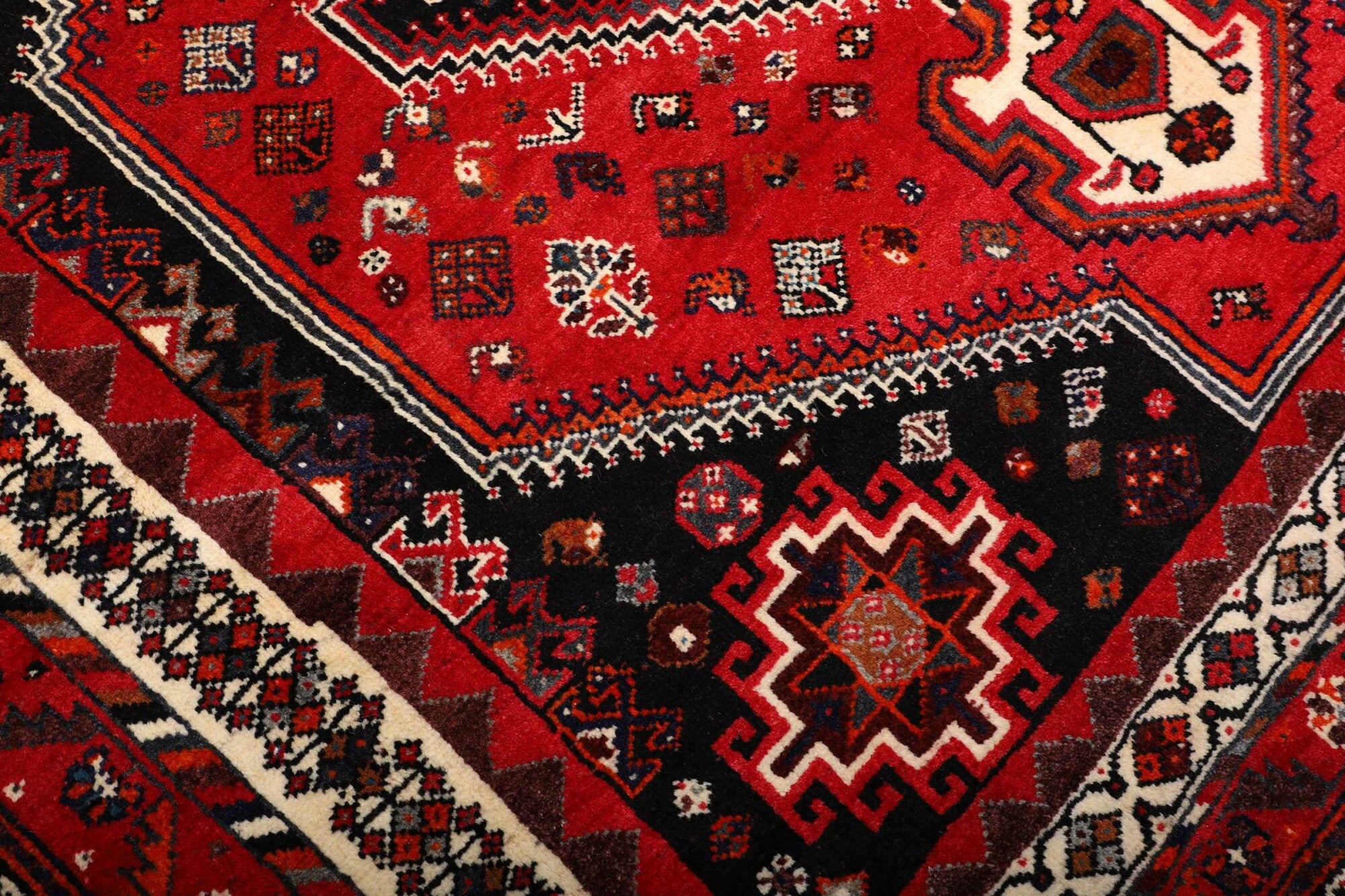 Shiraz | 276 cm x 176 cm | Nr. 12-459855