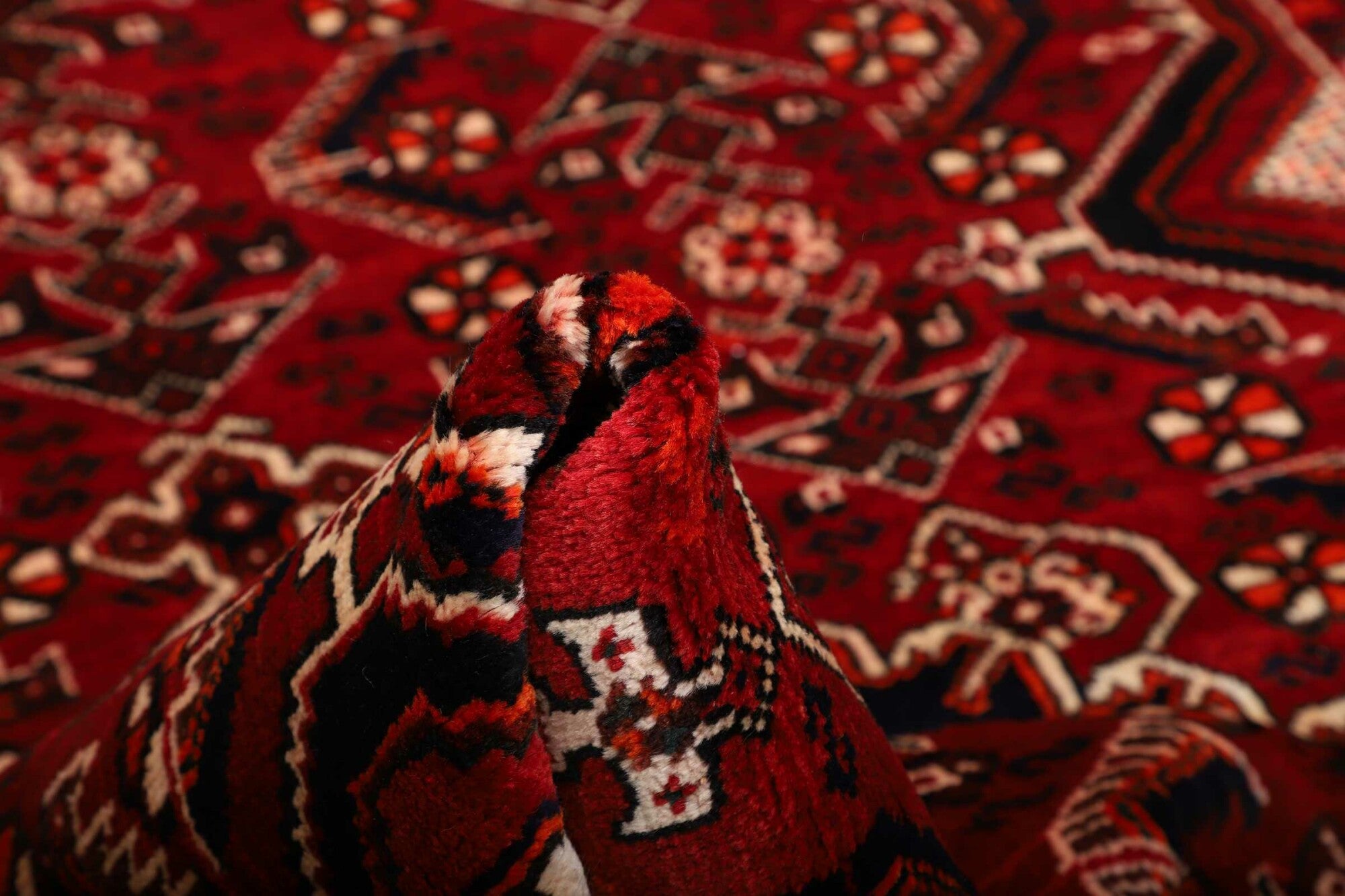 Shiraz | 264 cm x 169 cm | Nr. 12-459858