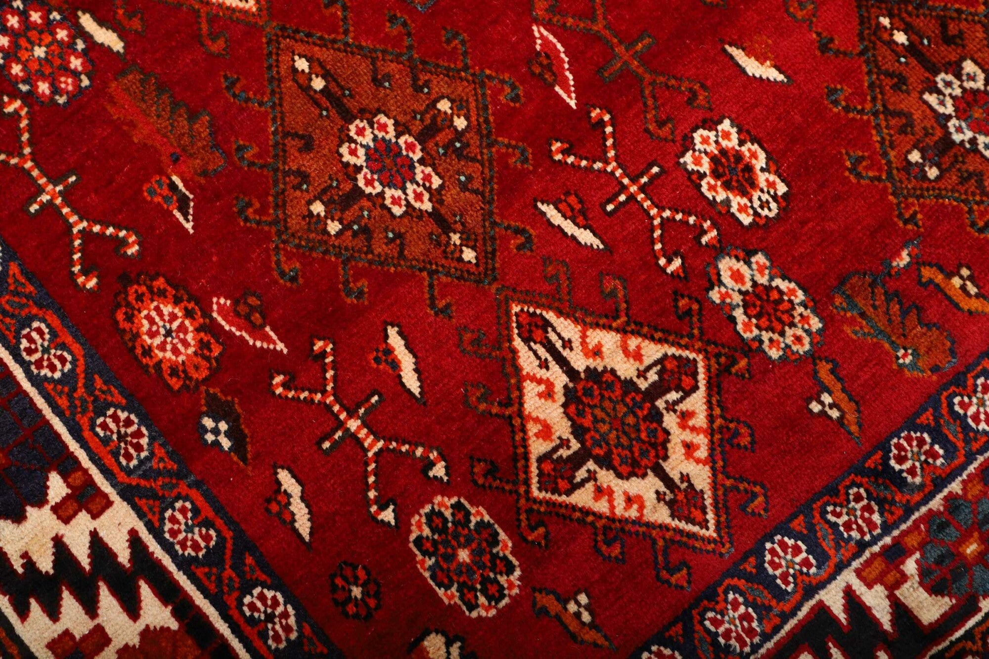 Shiraz | 258 cm x 158 cm | Nr. 12-459859