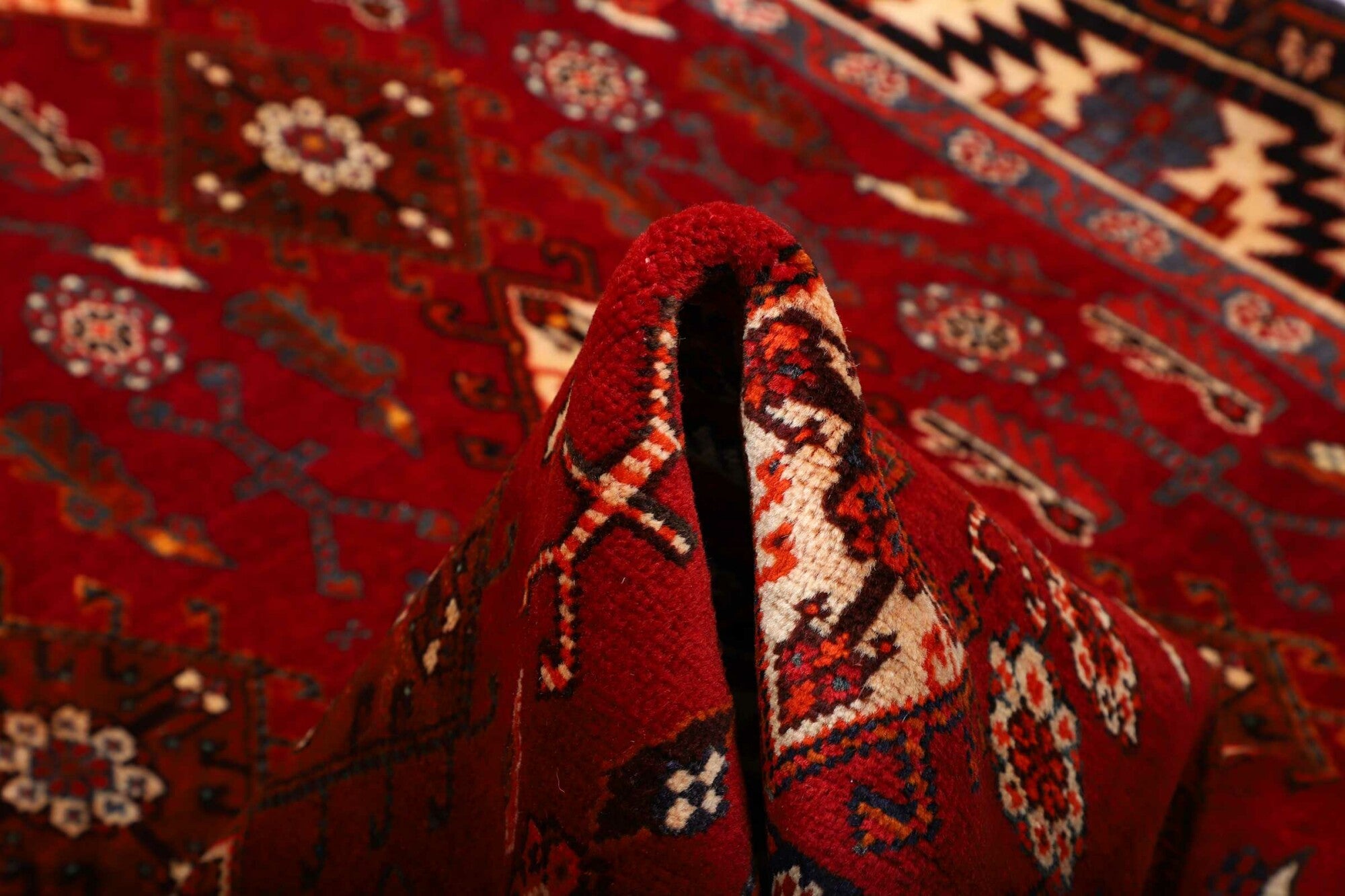 Shiraz | 258 cm x 158 cm | Nr. 12-459859