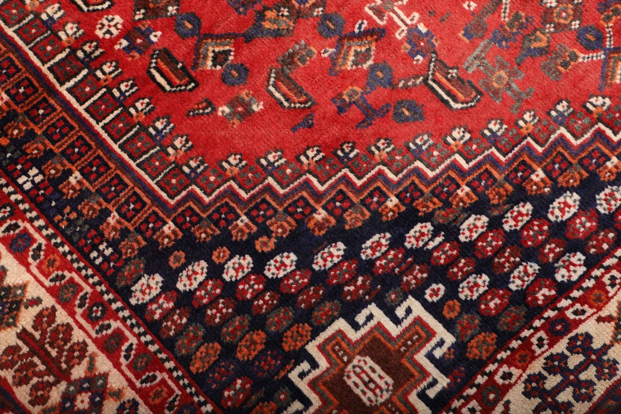 Shiraz | 260 cm x 160 cm | Nr. 12-459860