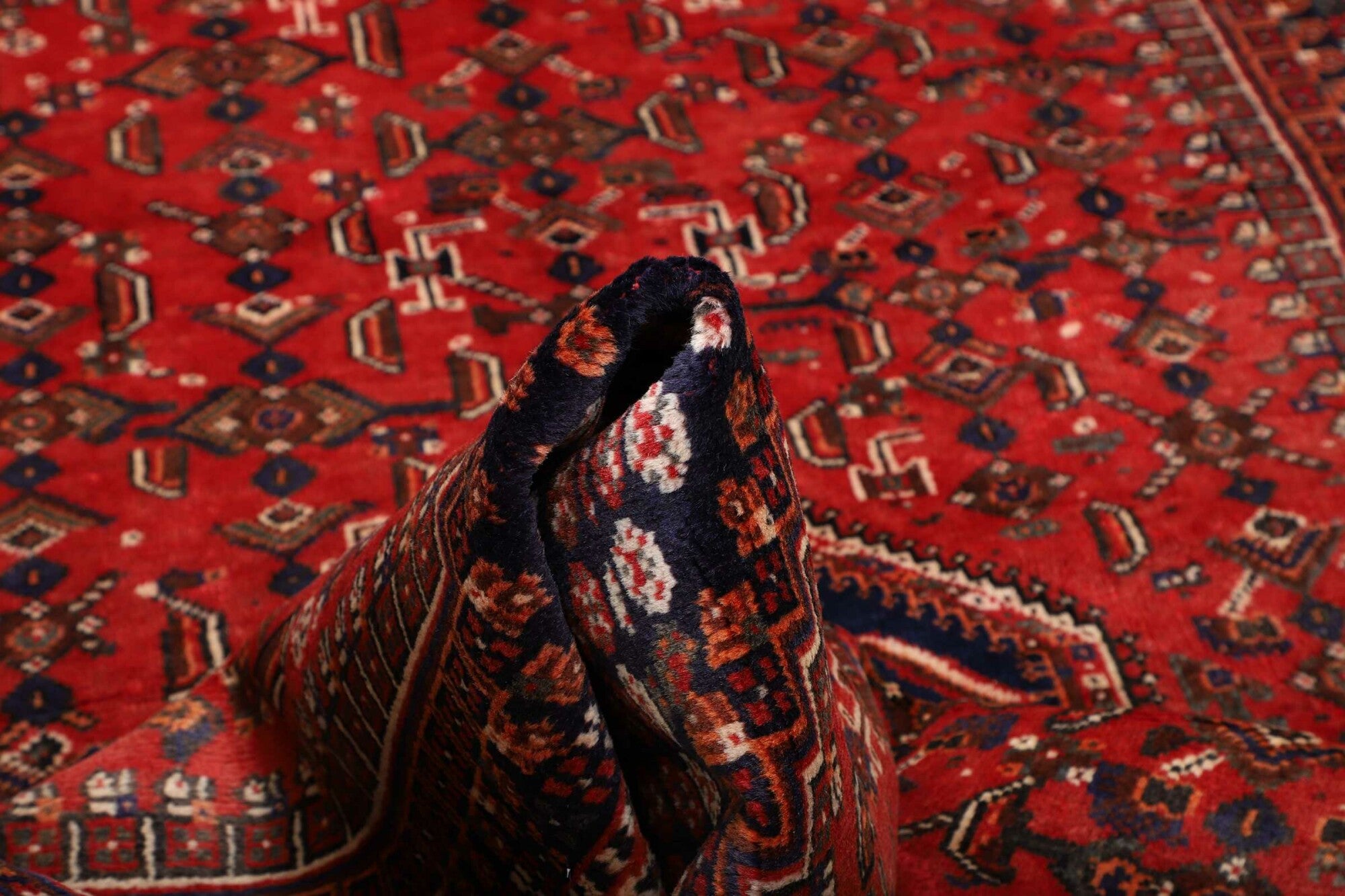 Shiraz | 260 cm x 160 cm | Nr. 12-459860