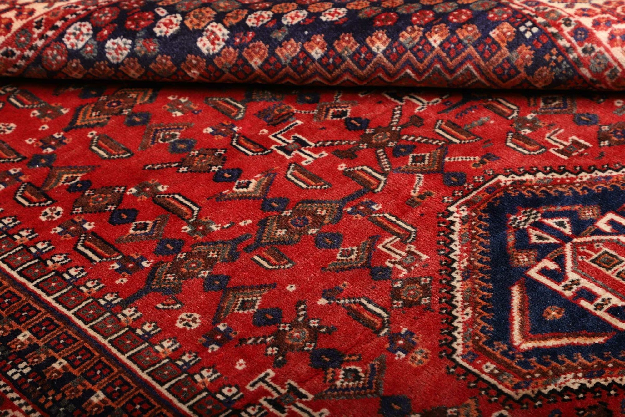 Shiraz | 260 cm x 160 cm | Nr. 12-459860