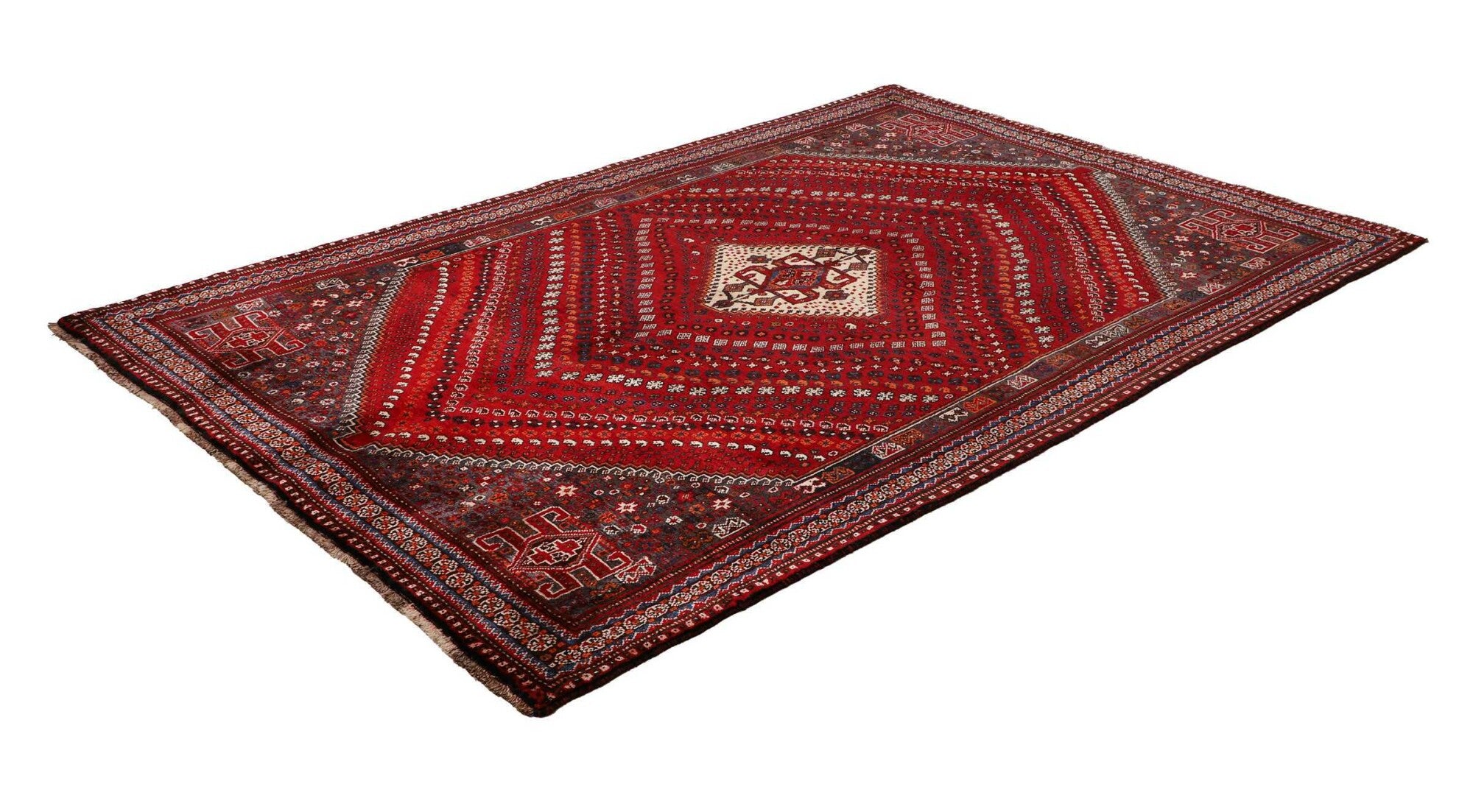 Shiraz | 249 cm x 170 cm | Nr. 12-459862