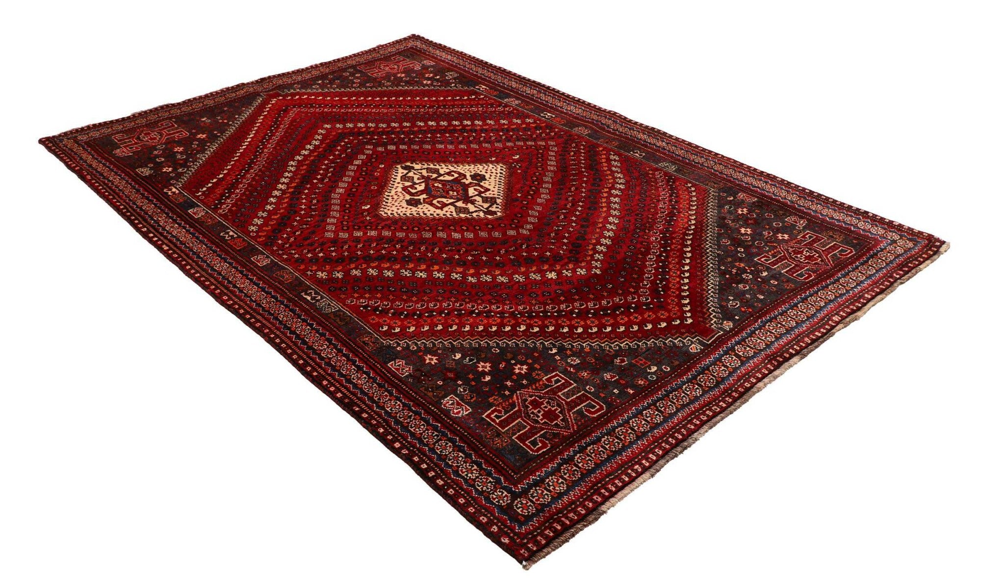 Shiraz | 249 cm x 170 cm | Nr. 12-459862