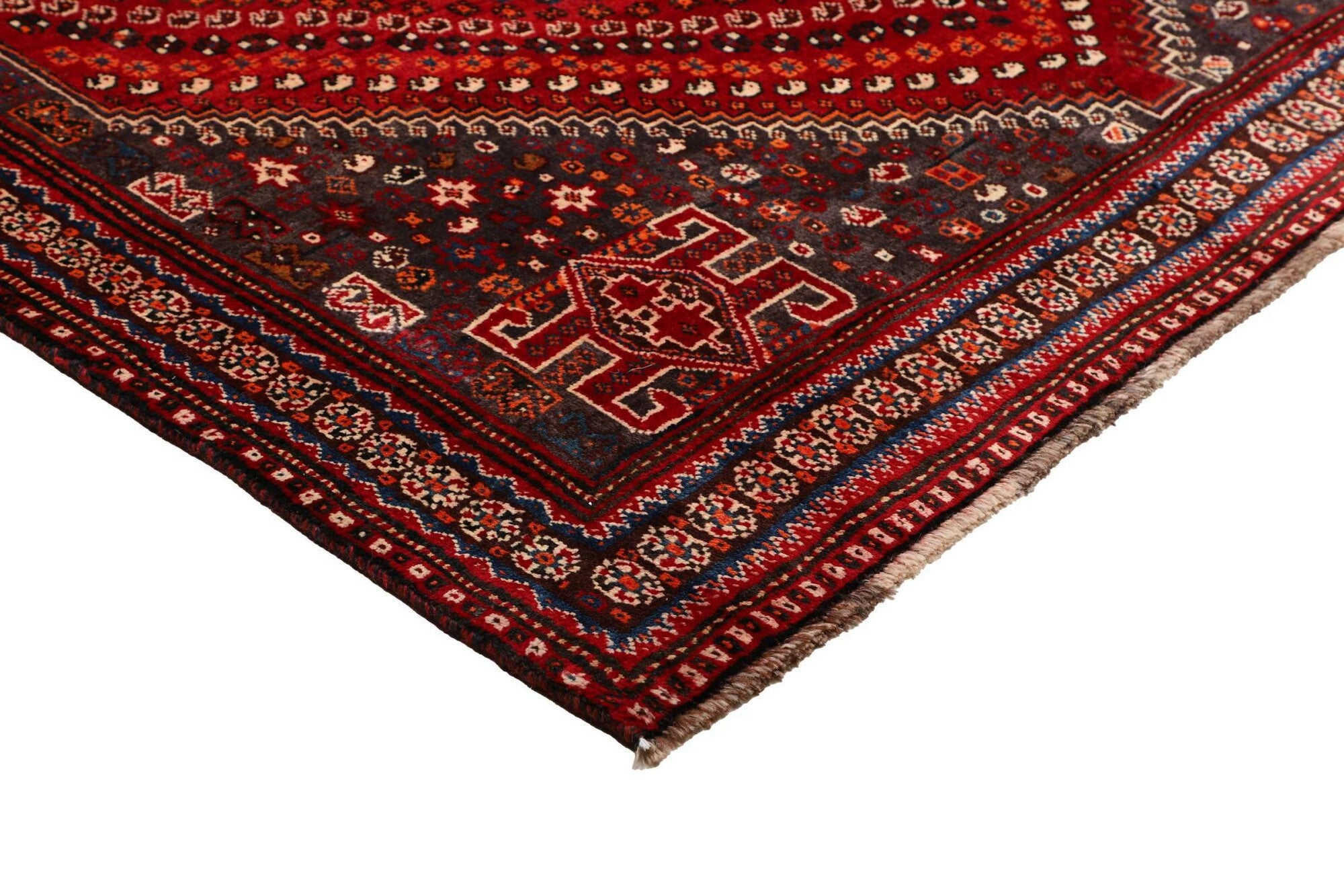 Shiraz | 249 cm x 170 cm | Nr. 12-459862