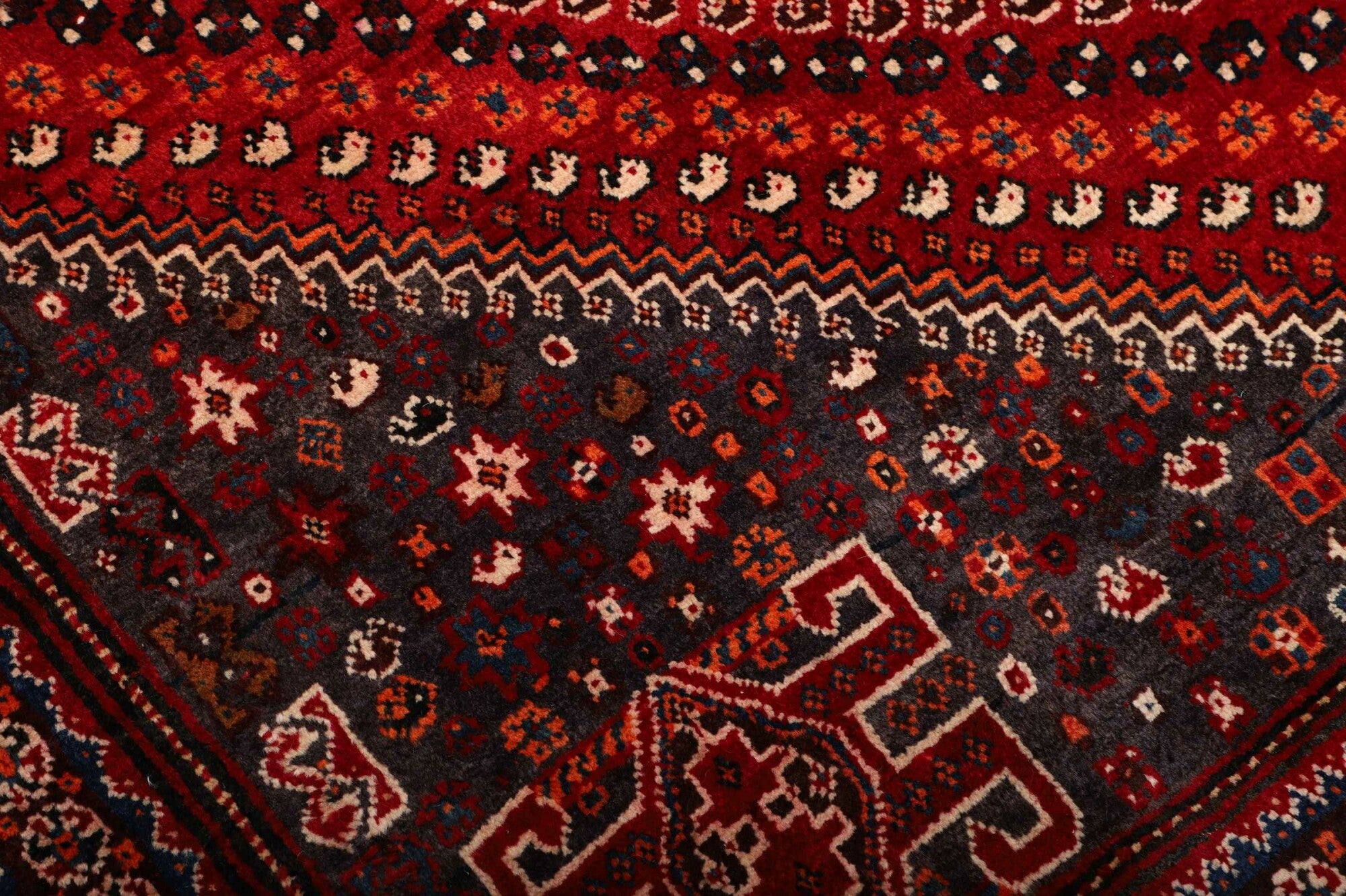 Shiraz | 249 cm x 170 cm | Nr. 12-459862