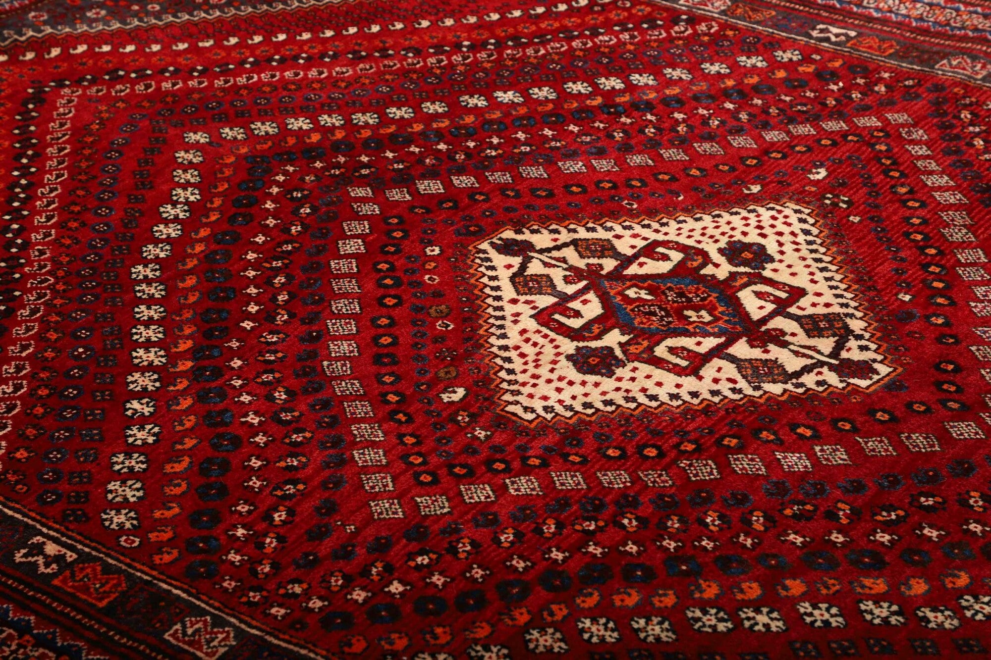 Shiraz | 249 cm x 170 cm | Nr. 12-459862