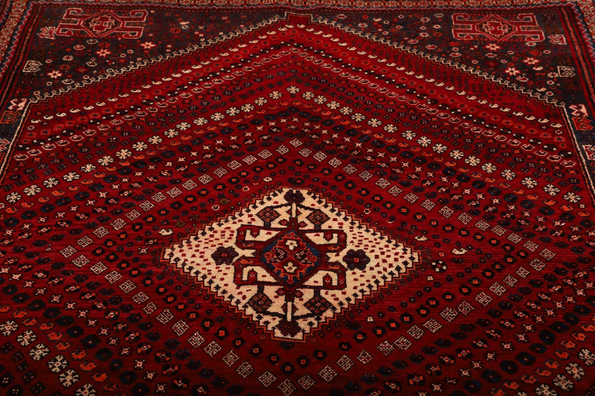Shiraz | 249 cm x 170 cm | Nr. 12-459862