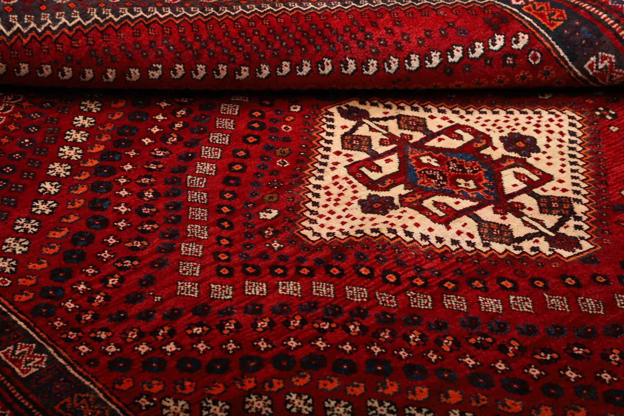 Shiraz | 249 cm x 170 cm | Nr. 12-459862