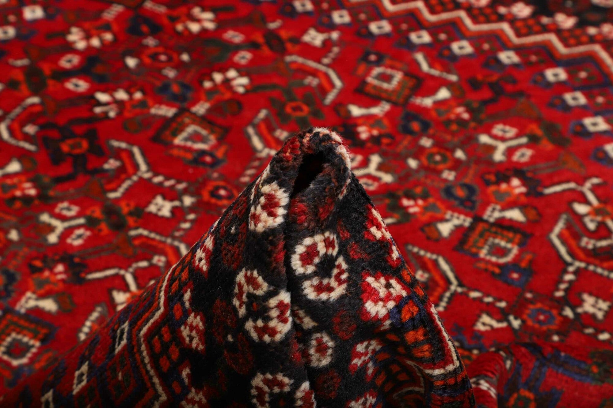 Shiraz | 253 x 160 cm | Nr. 12-459869