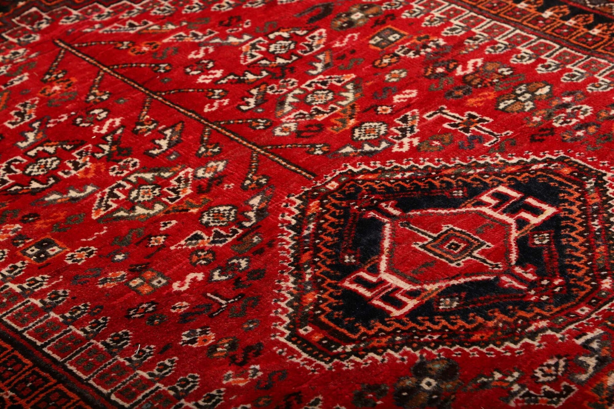 Shiraz | 248 x 162 cm | Nr. 12-459874