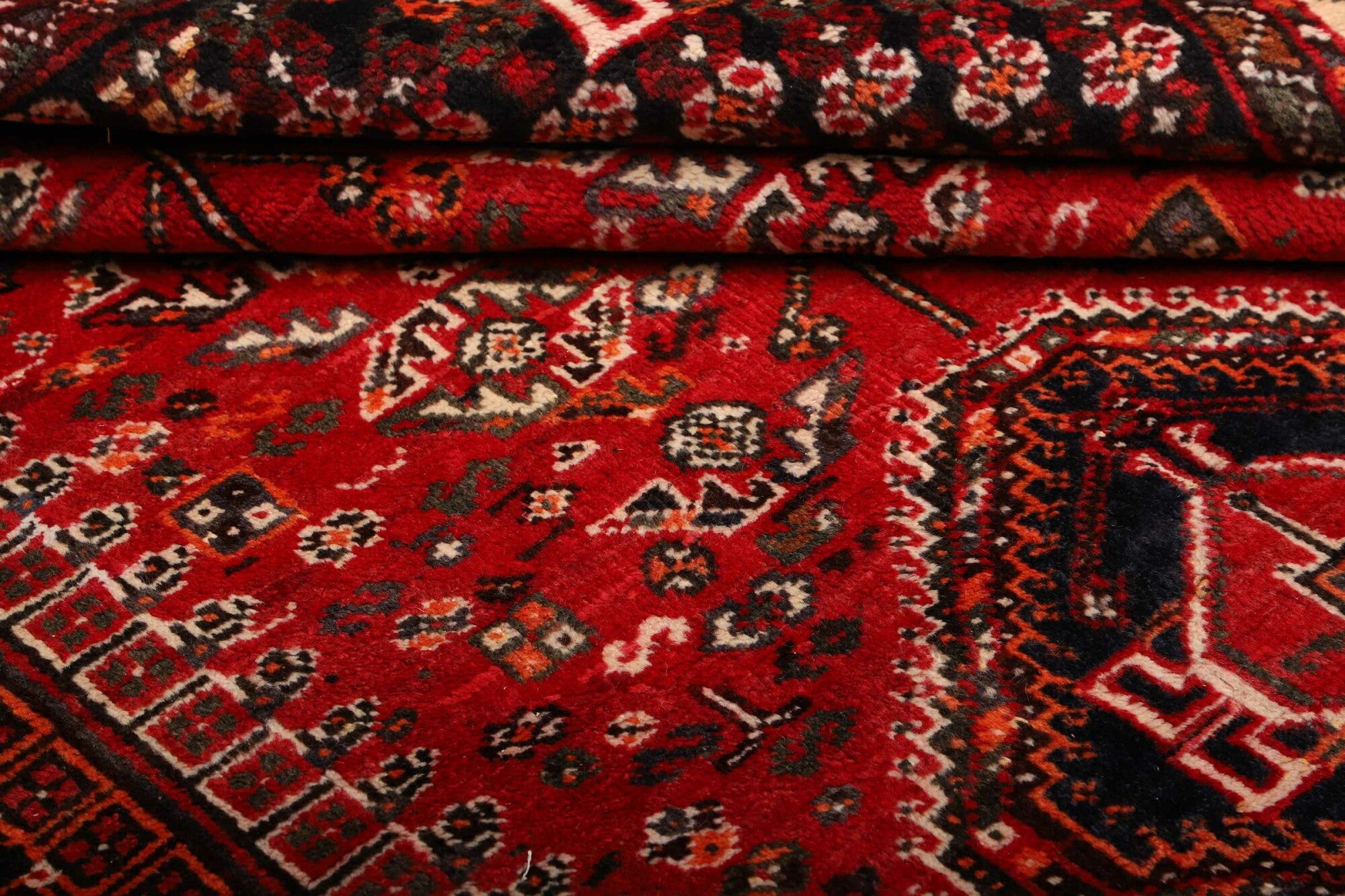 Shiraz | 248 x 162 cm | Nr. 12-459874