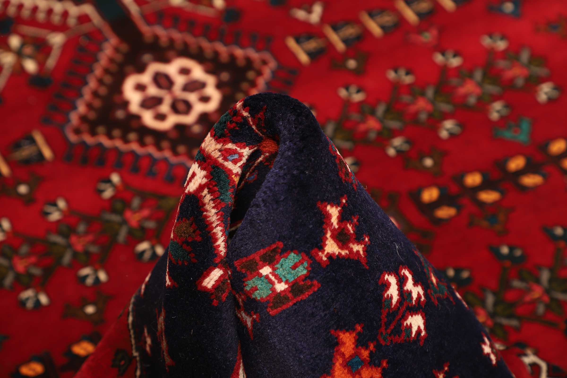 Shiraz | 237 cm x 158 cm | Nr. 12-469741