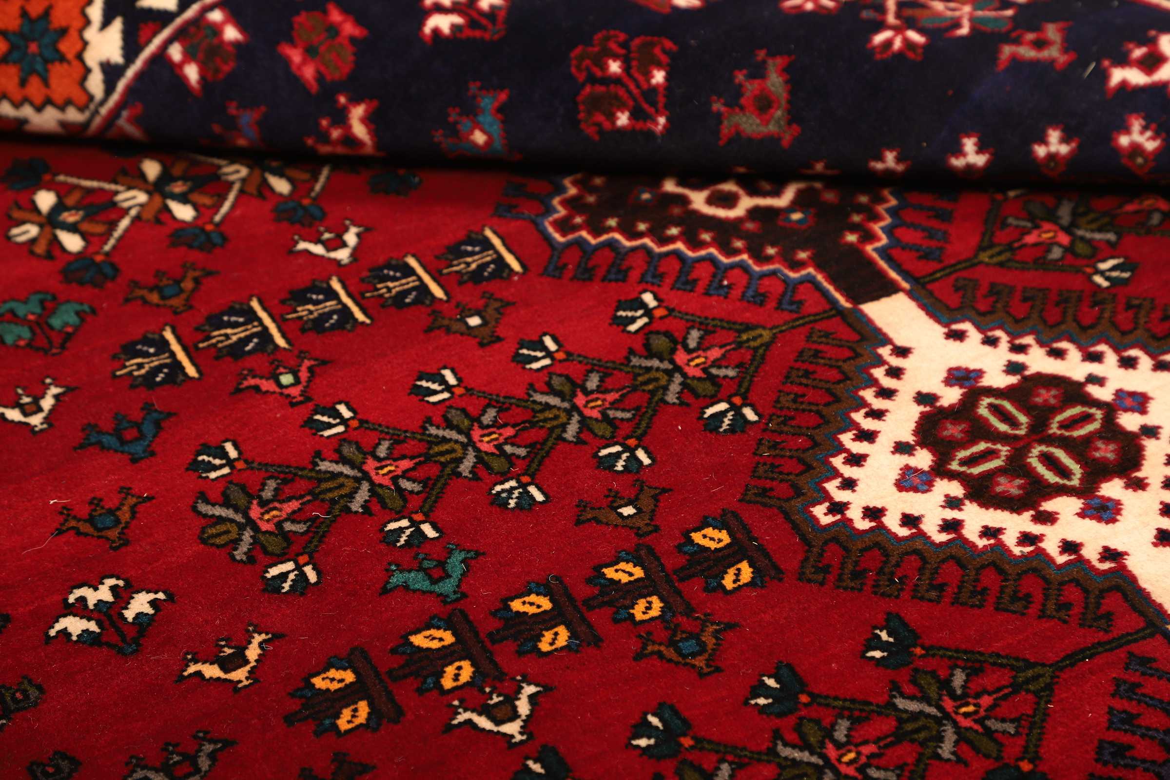 Shiraz | 237 cm x 158 cm | Nr. 12-469741