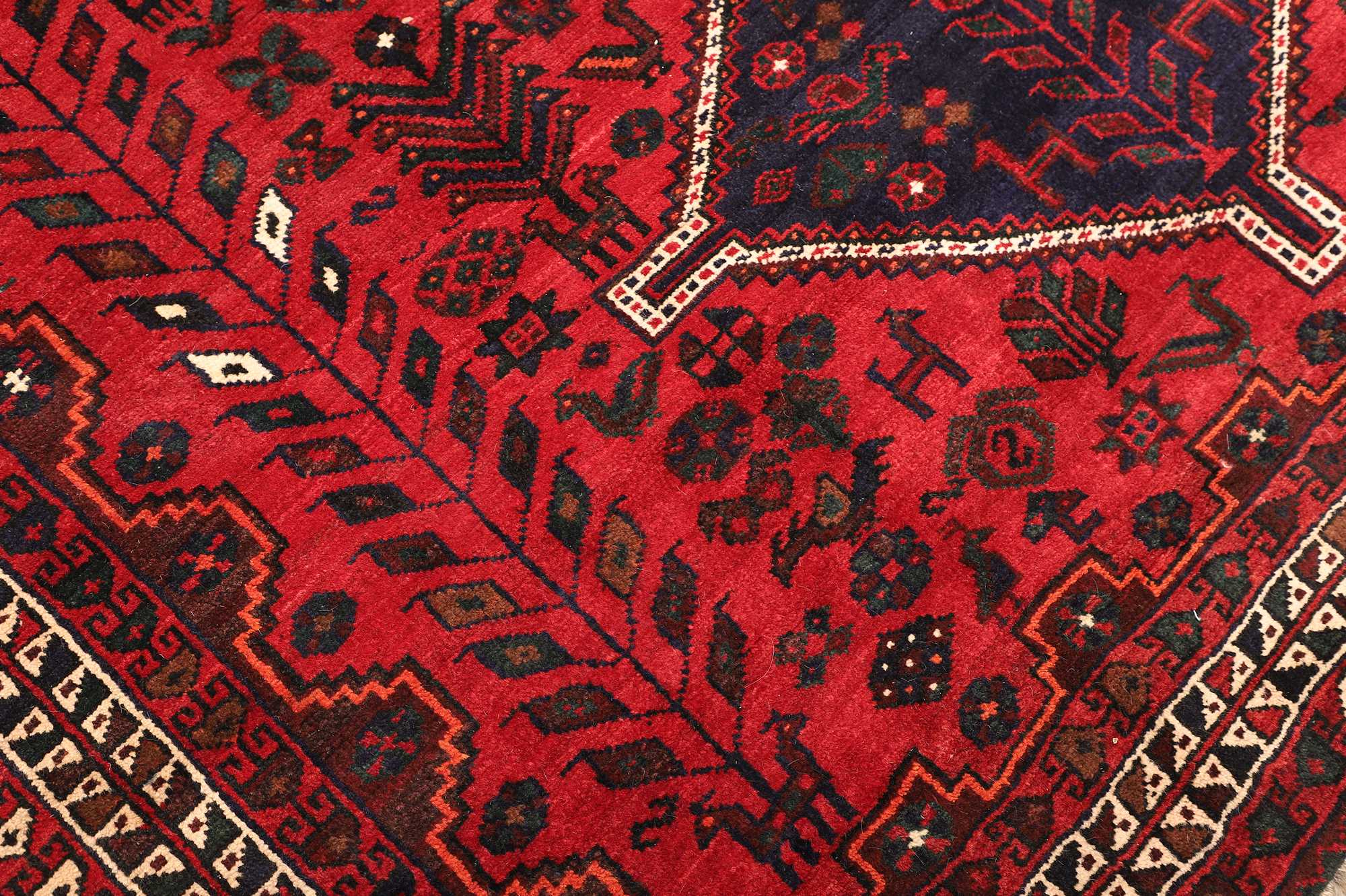 Shiraz | 305 x 208 cm | Nr. 12-471494