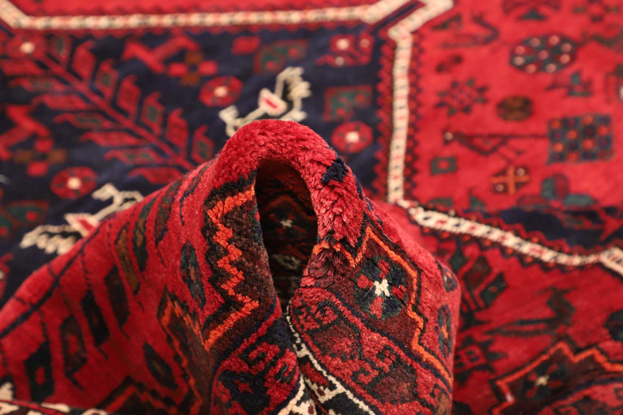 Shiraz | 305 x 208 cm | Nr. 12-471494