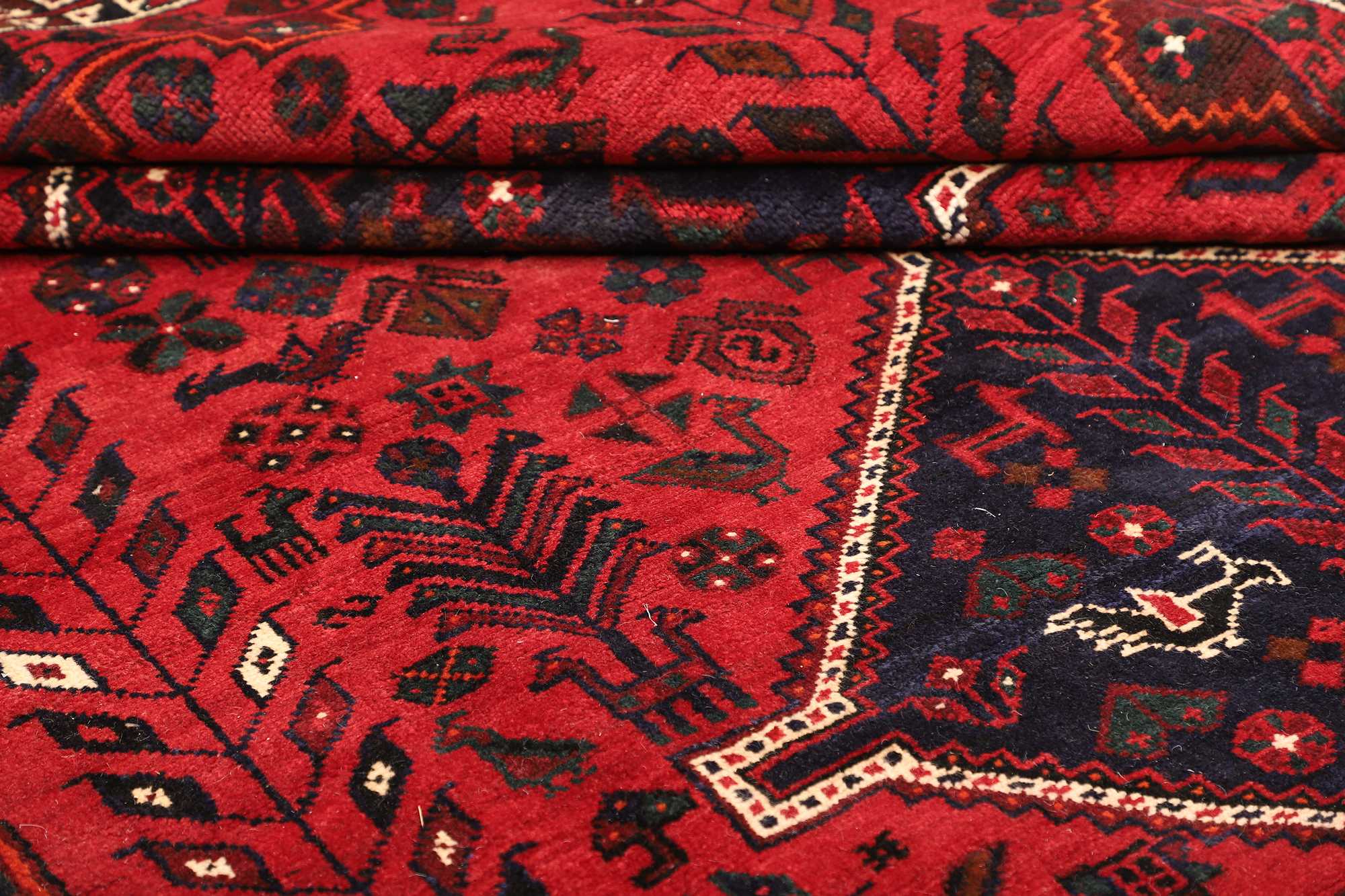Shiraz | 305 x 208 cm | Nr. 12-471494