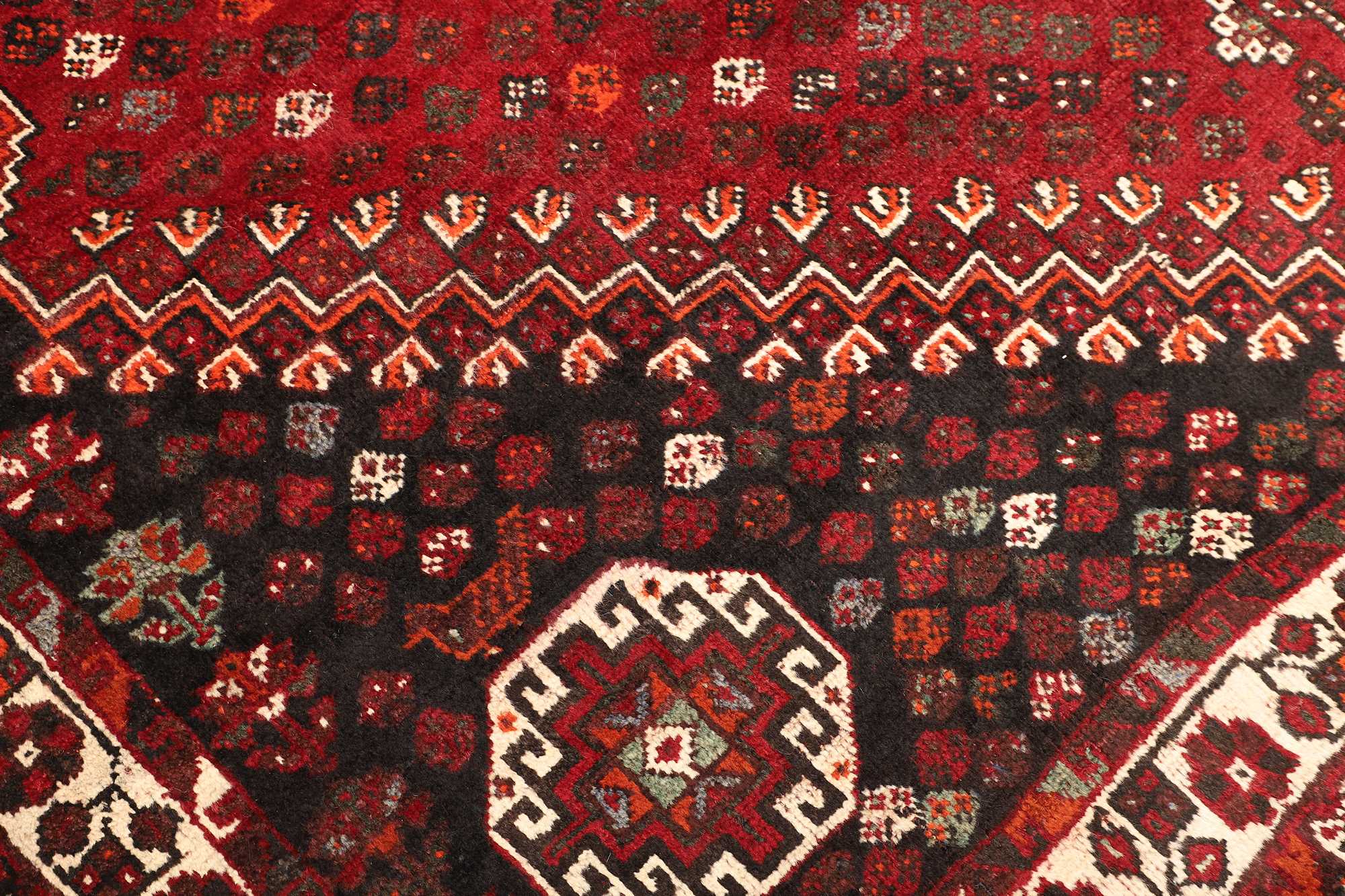 Shiraz | 310 x 225 cm | Nr. 12-471511