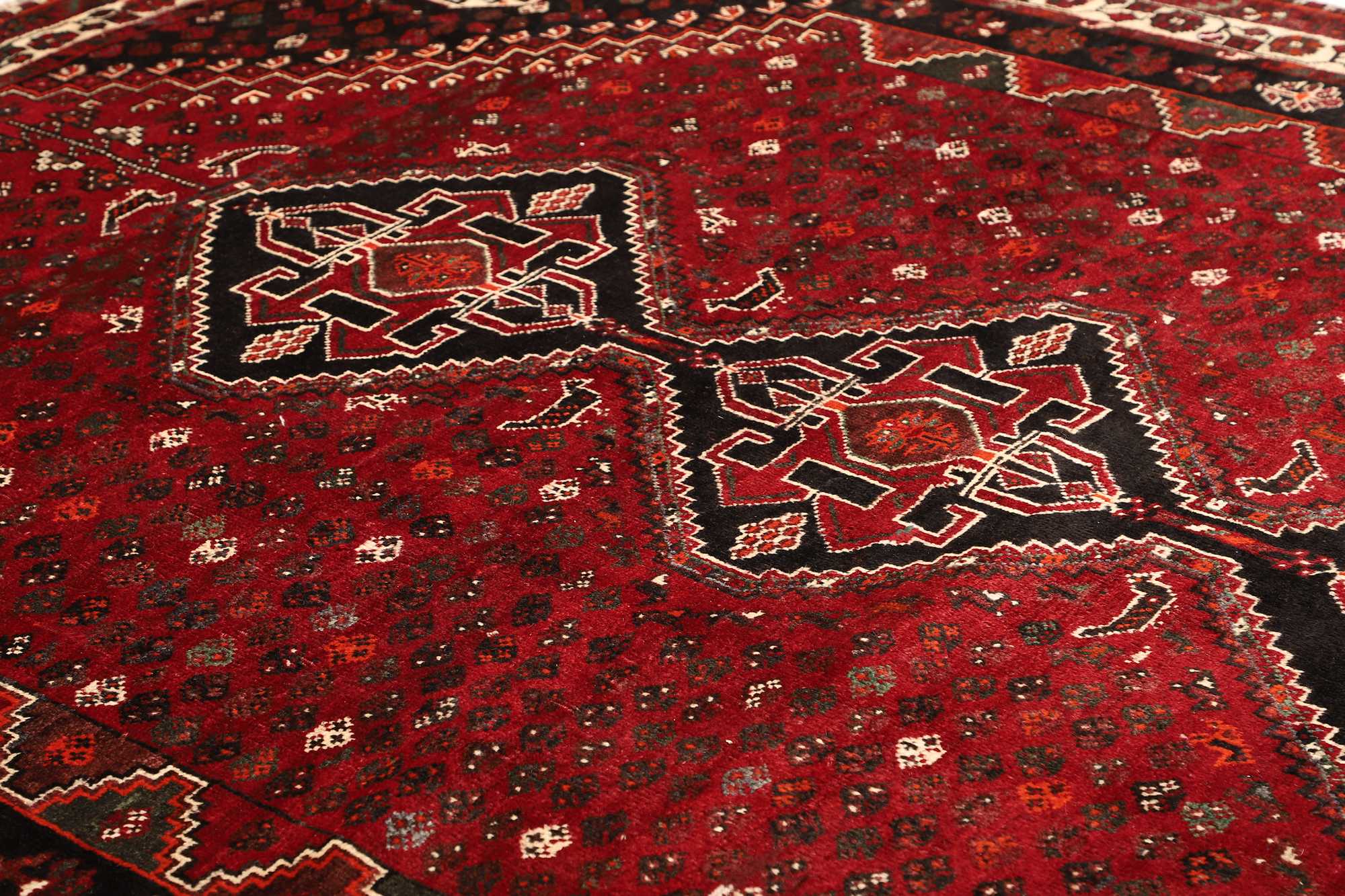 Shiraz | 310 x 225 cm | Nr. 12-471511