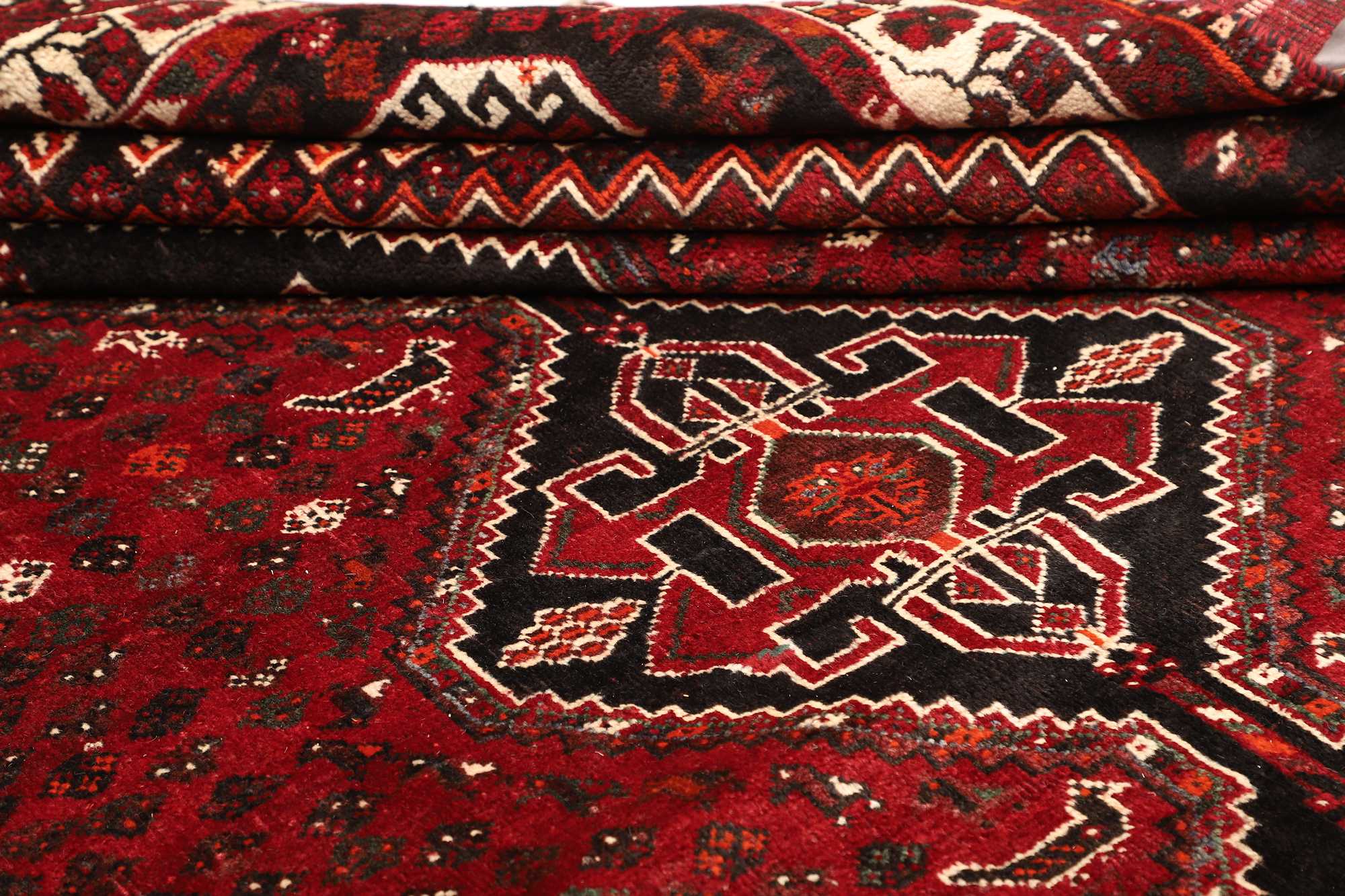 Shiraz | 310 x 225 cm | Nr. 12-471511