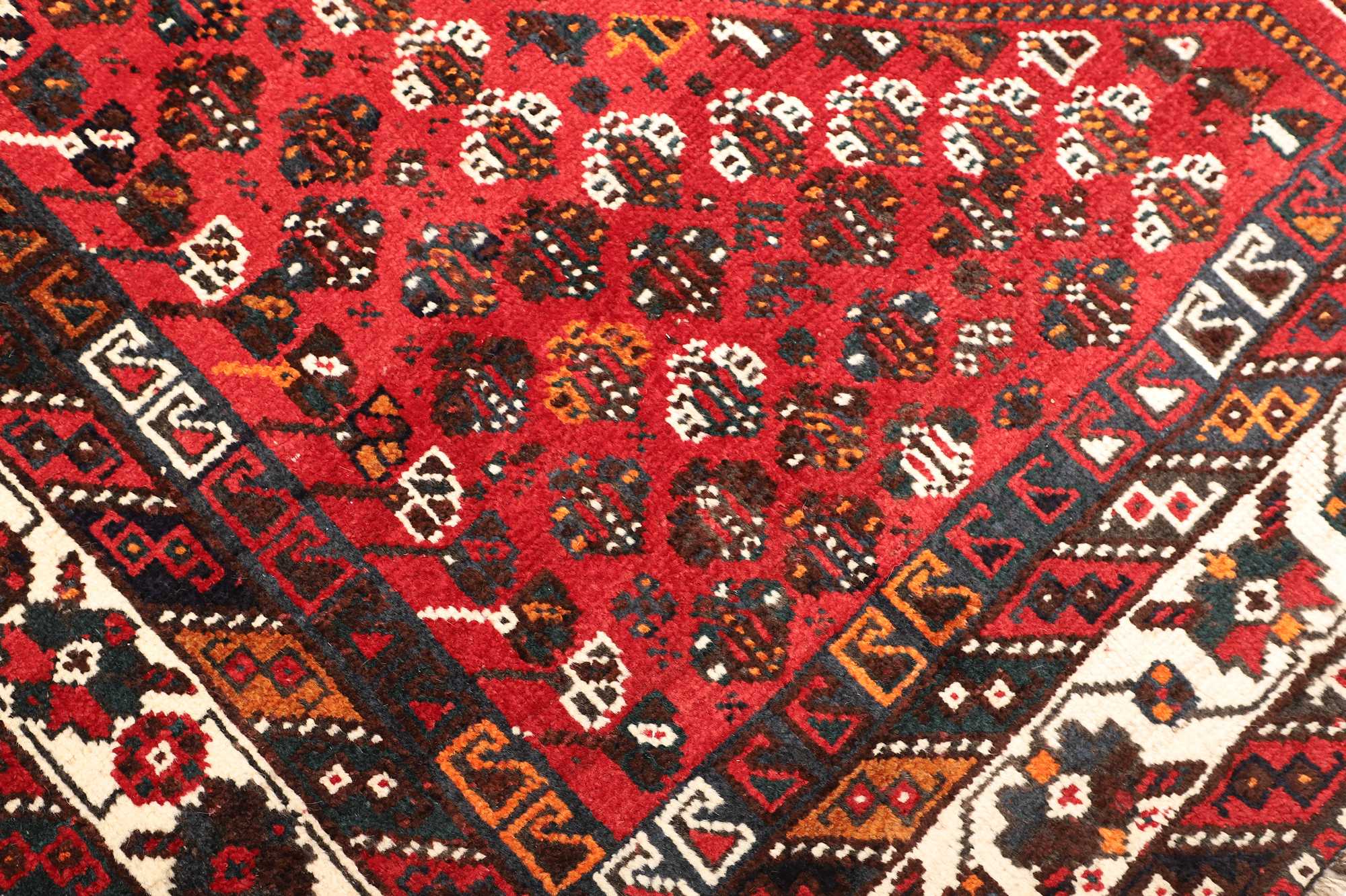 Шираз | 303 x 213 cm | Nr. 12-471519