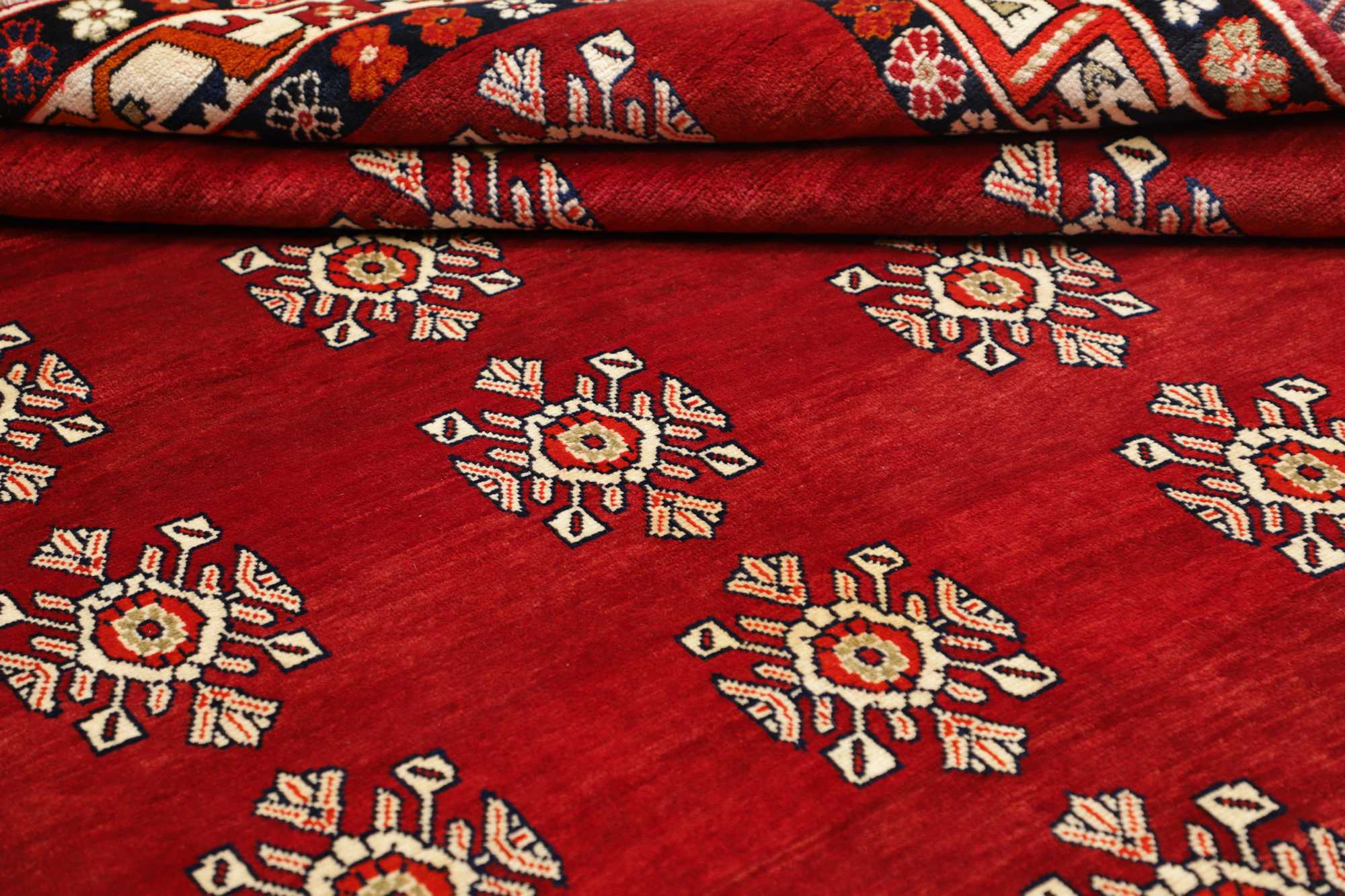 Shiraz | 300 x 208 cm | Nr. 12-474977