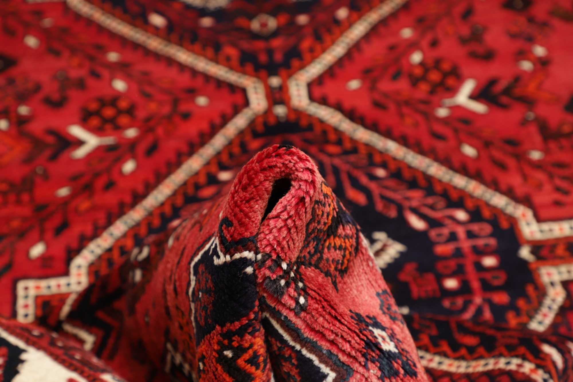 Shiraz | 318 x 225 cm | Nr. 12-474989