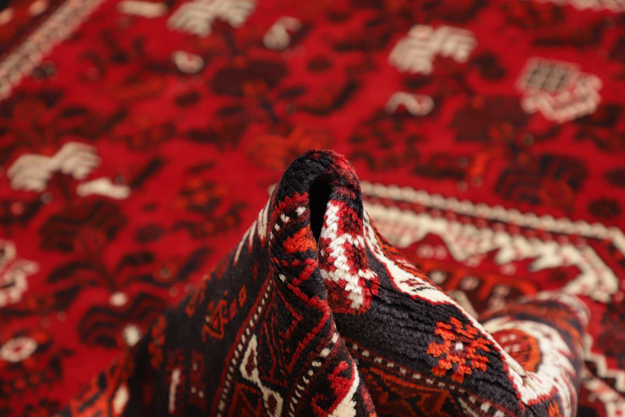 Shiraz | 298 x 212 cm | Nr. 12-475074