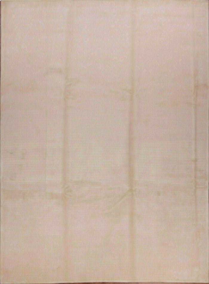 Nepal Teppich | 350 cm x 260 cm | Nr. 12-229484