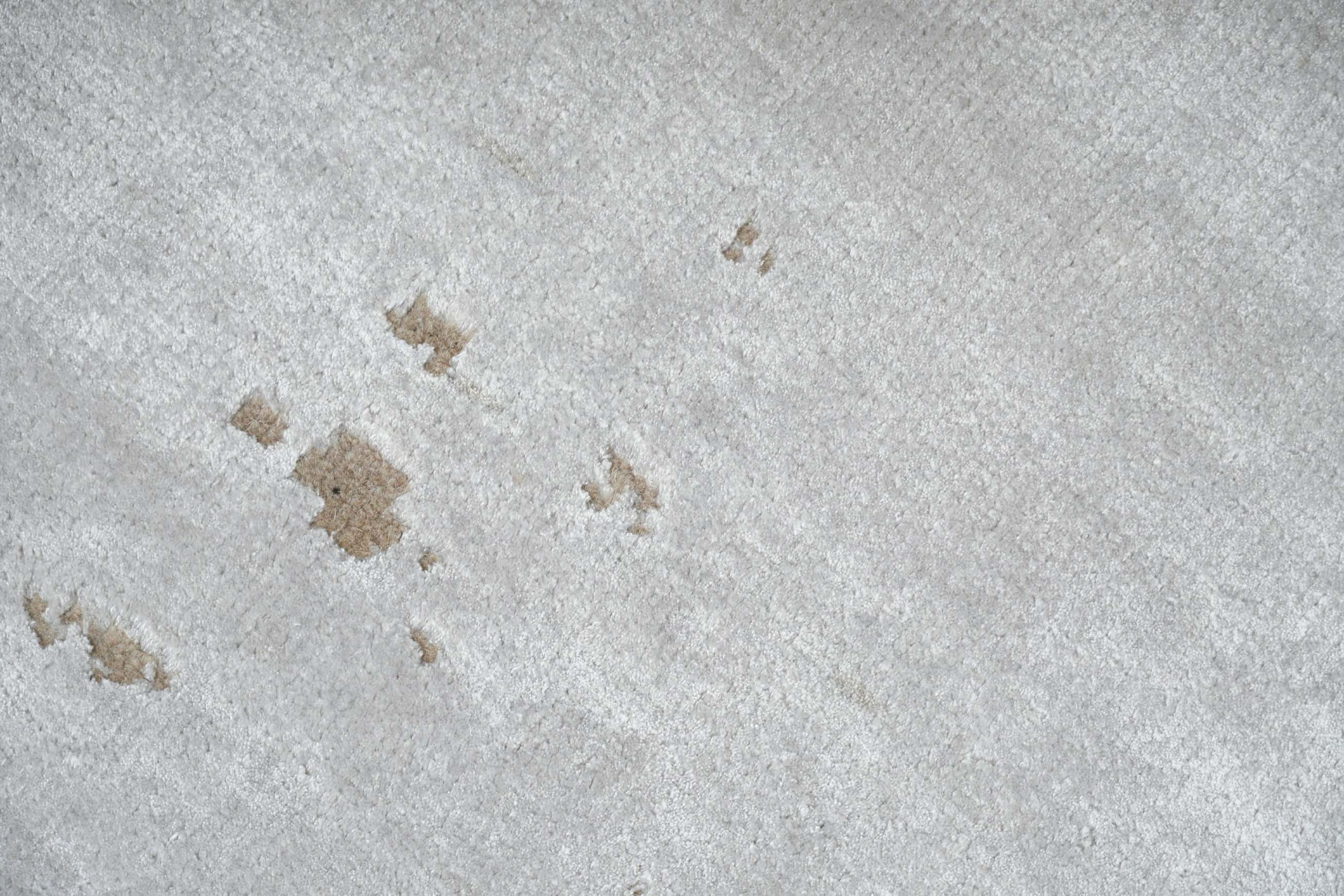 Terra | 145 cm x 77 cm | Nr. Z-3469