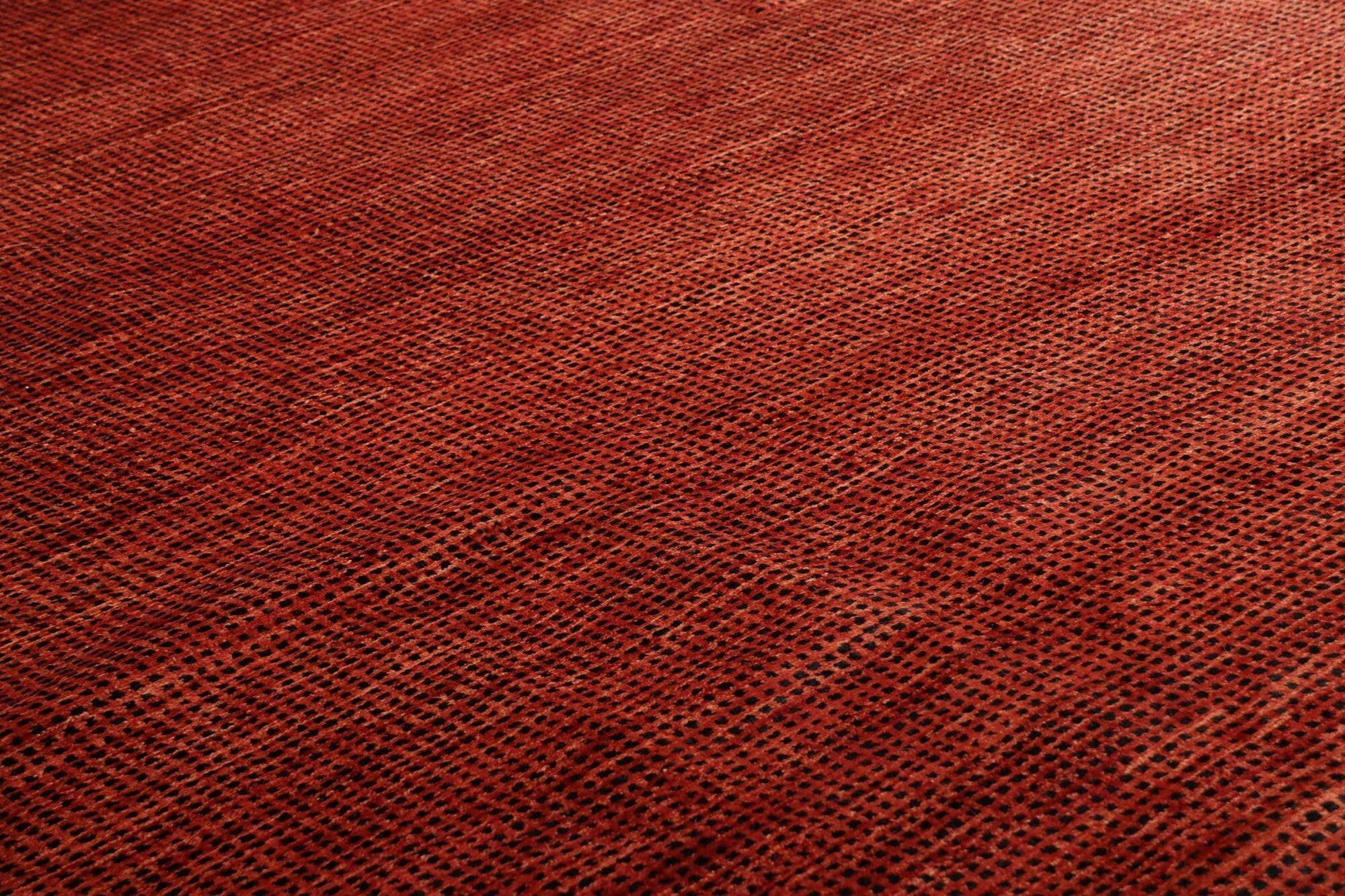 Lori | 244 cm x 168 cm | Nr. Z-3856