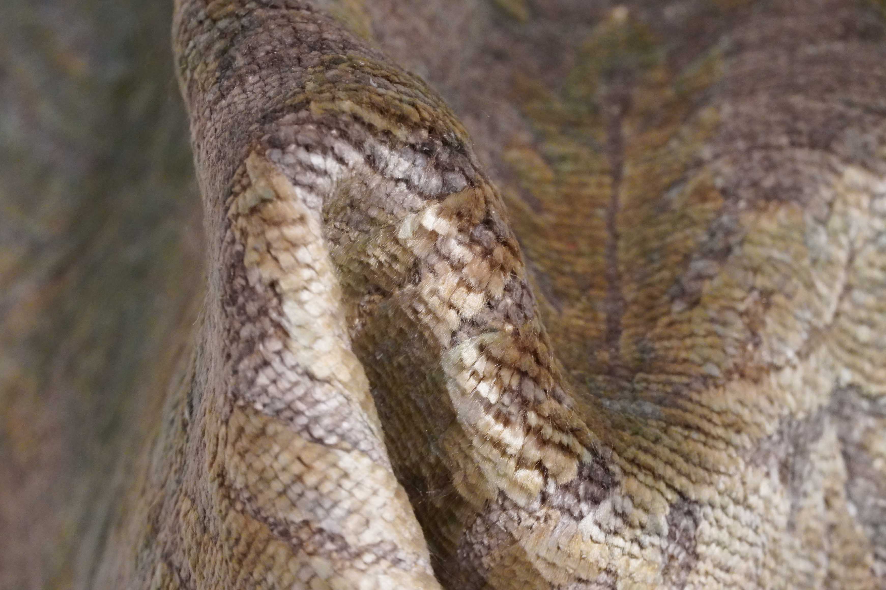 Tapis | 90 cm x 60 cm | Nr. Z-4104