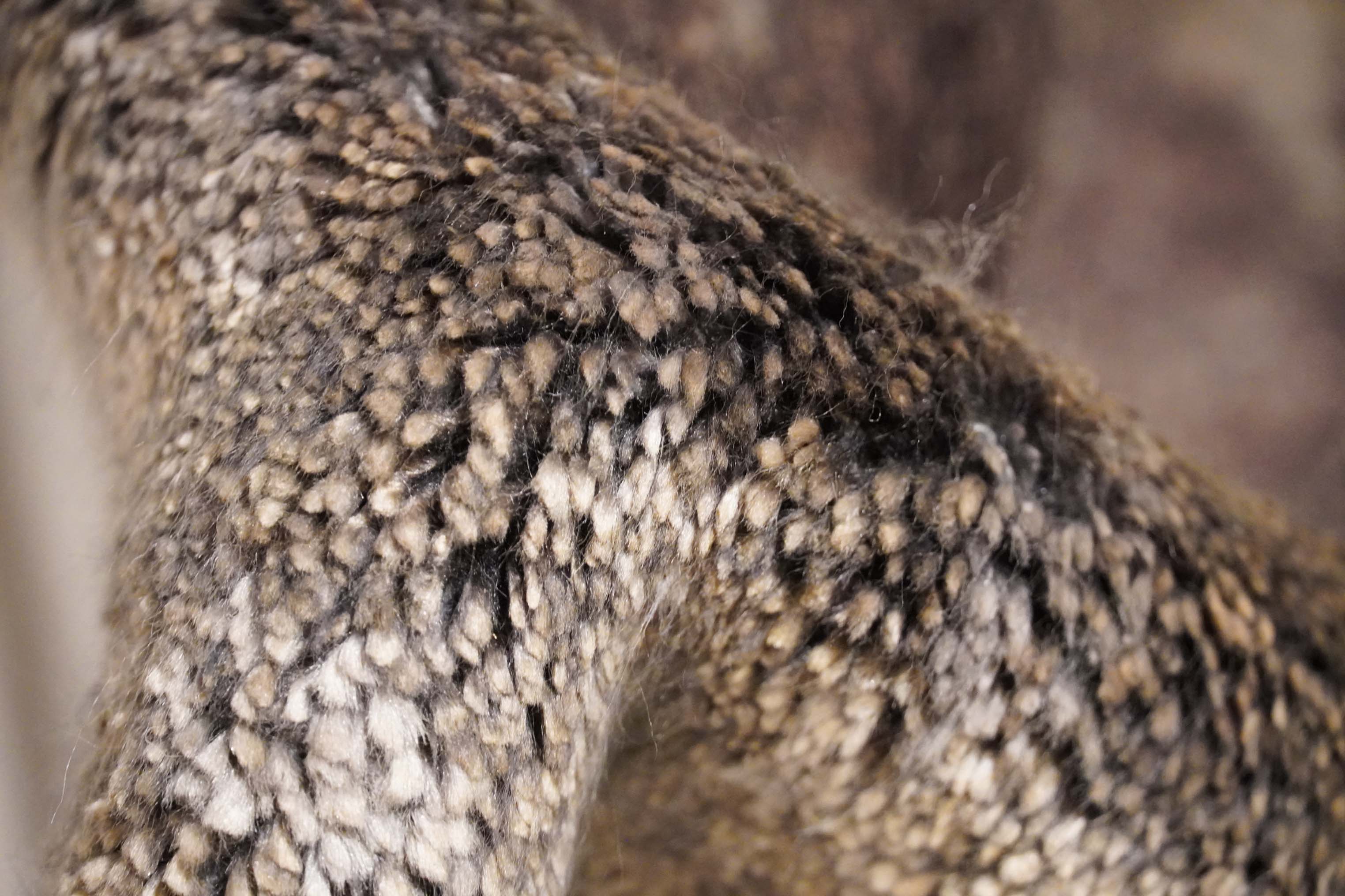 Tapis | 107 cm x 65 cm | Nr. Z-4147