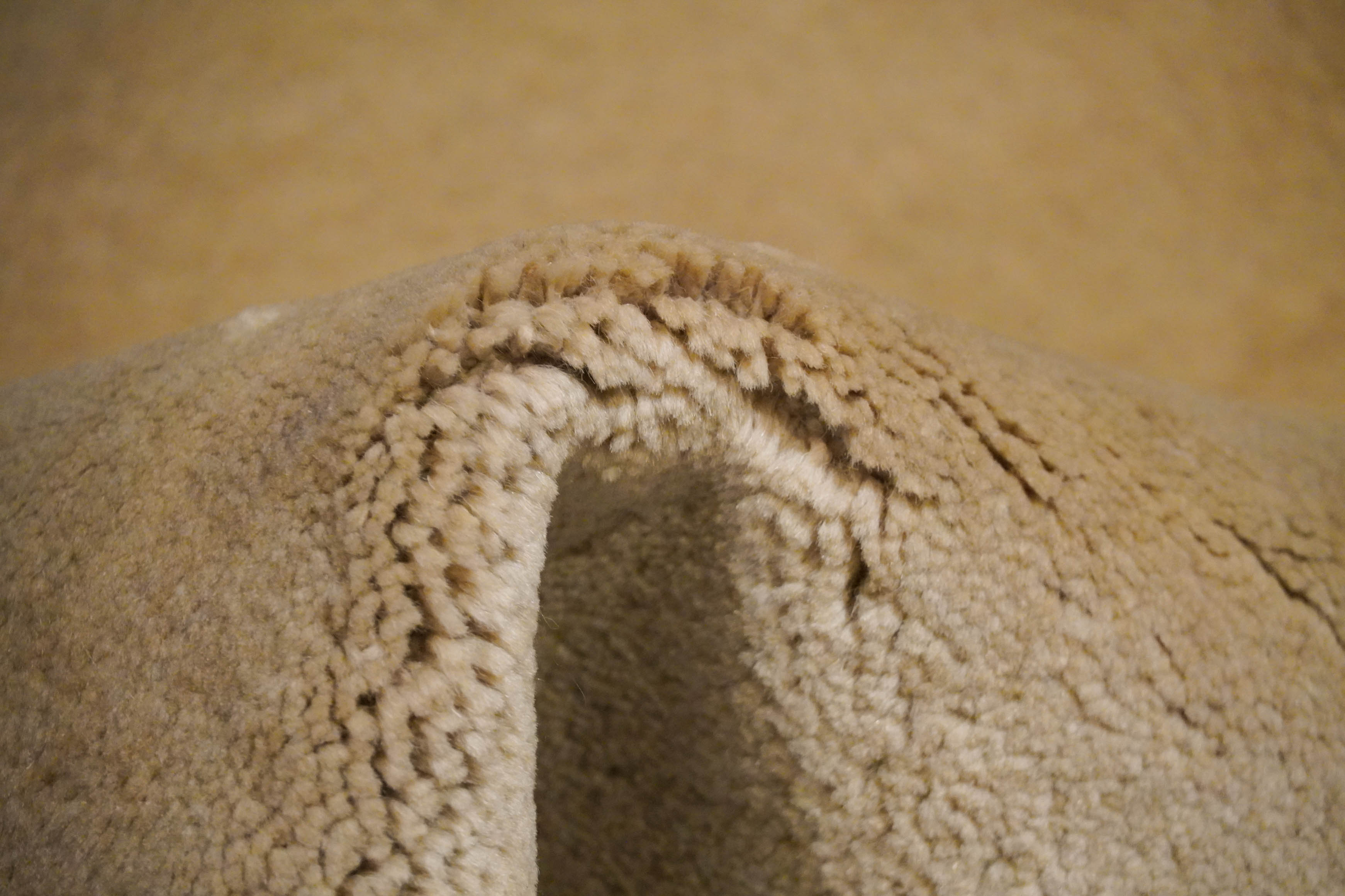 Lori | 94 cm x 58 cm | Nr. Z-4156