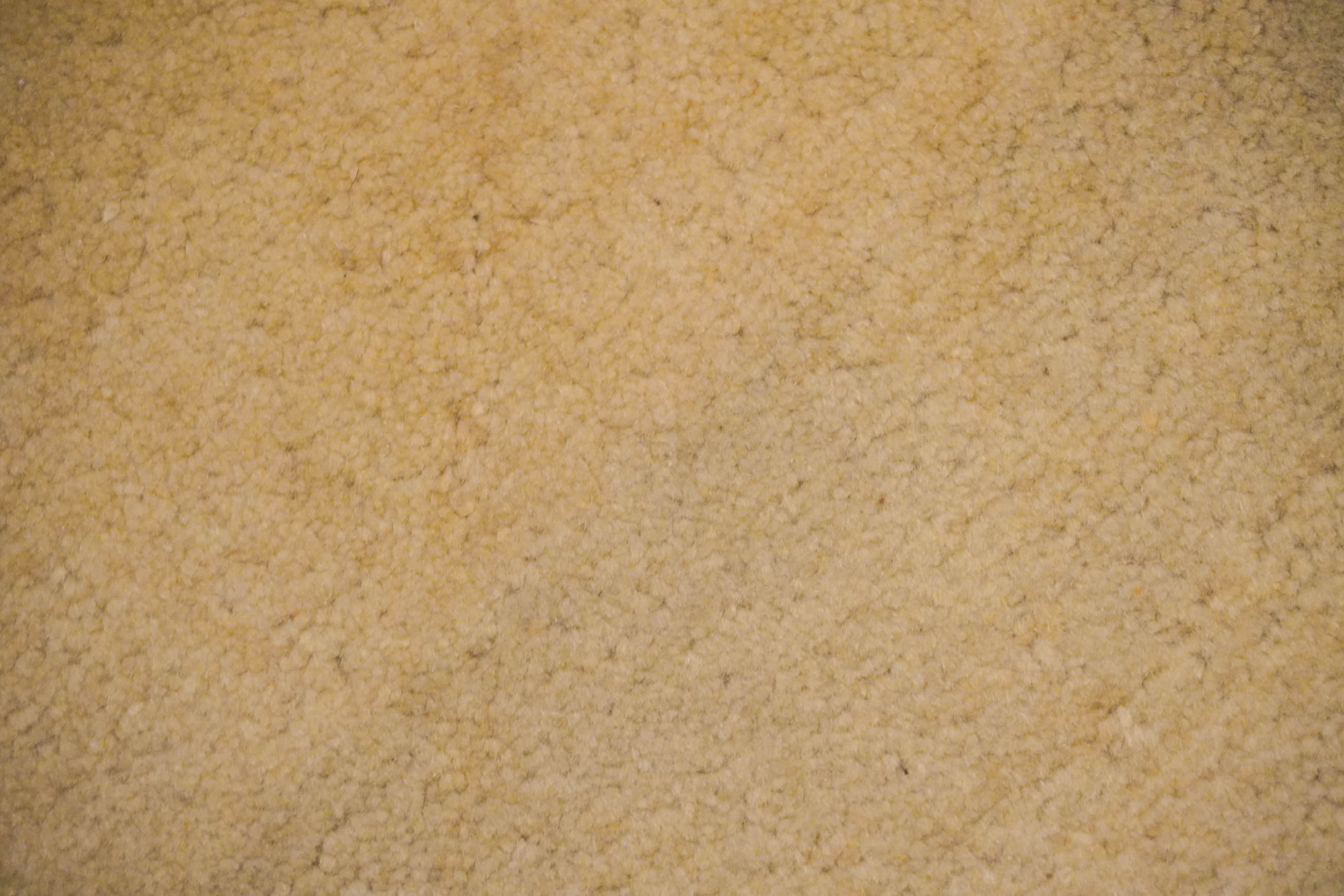 Lori | 94 cm x 58 cm | Nr. Z-4156