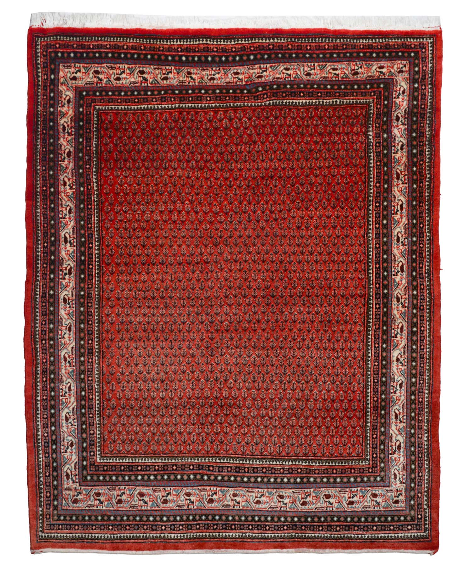 Sarough Mir | 277 cm x 216 cm | Nr. Z-4172