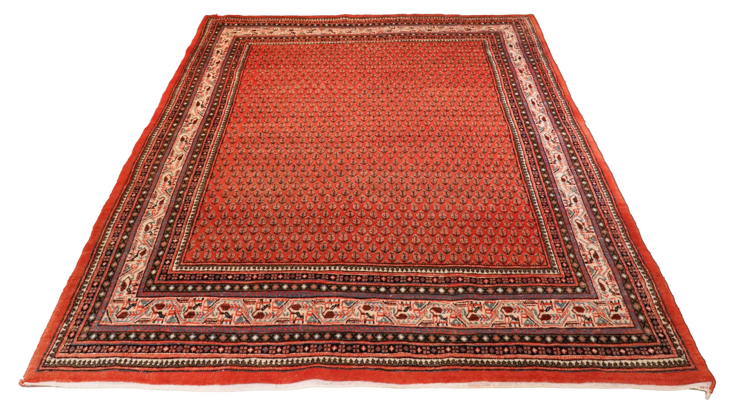 Sarough Mir | 277 cm x 216 cm | Nr. Z-4172