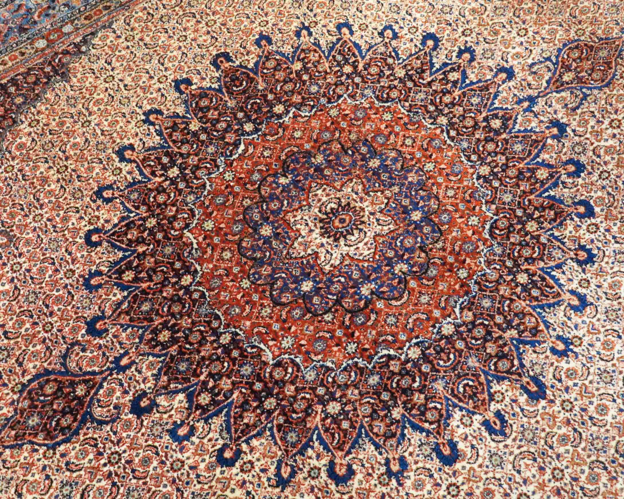 Moud | 353 cm x 258 cm | Nr. Z-4366