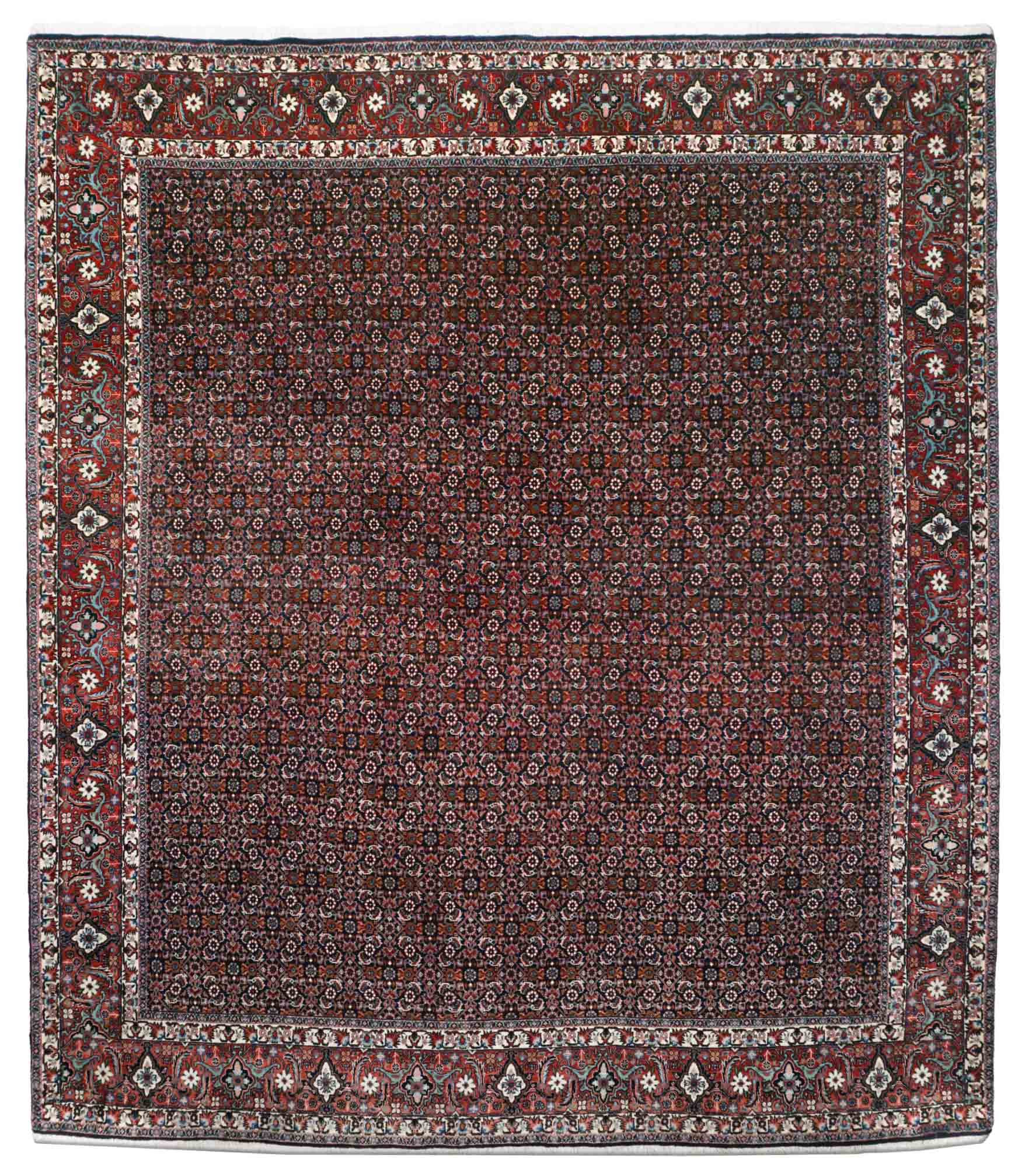 Bidjar | 290 cm x 251 cm | Nr. Z-4481