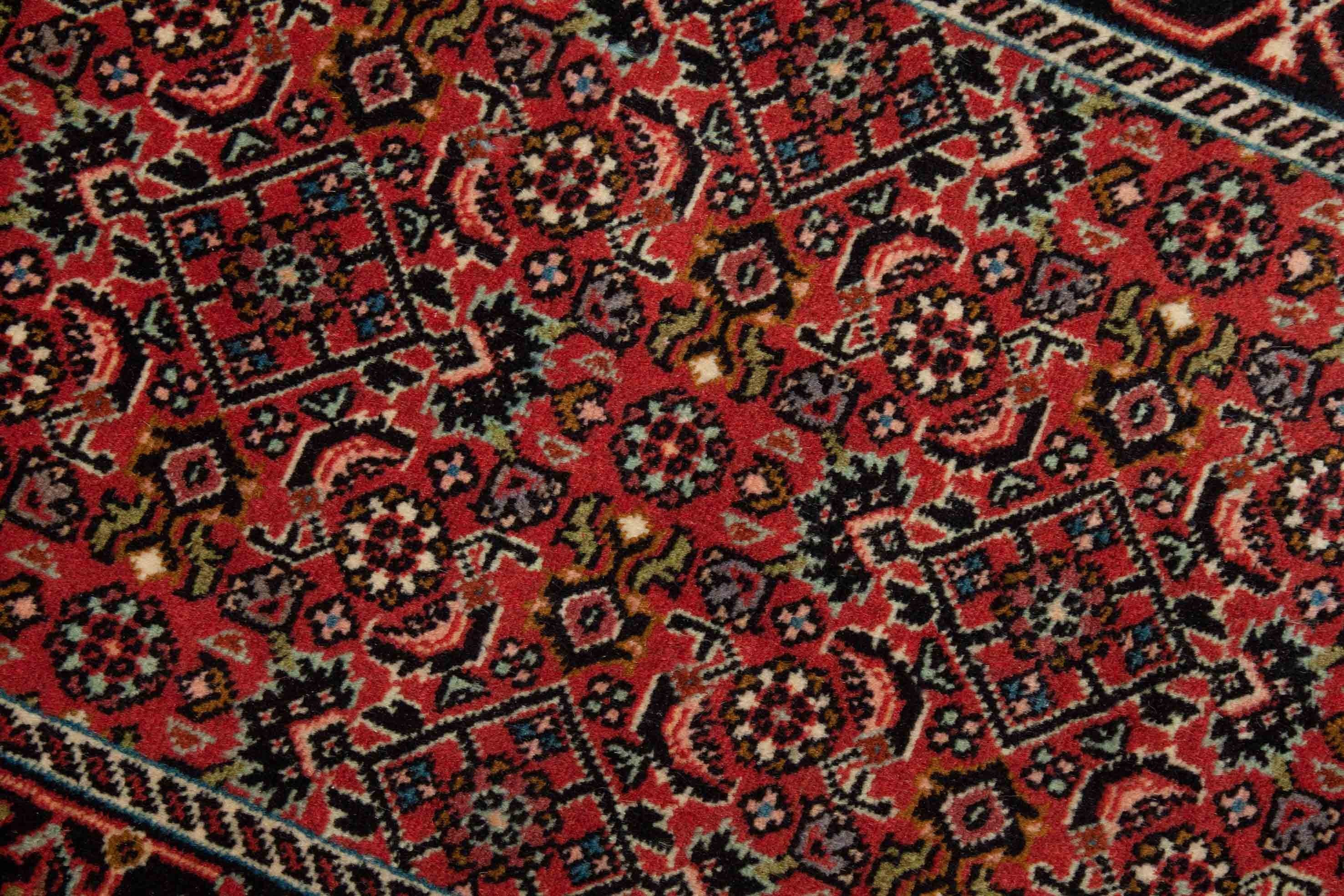 Bild vom Bidjar Teppich - 3